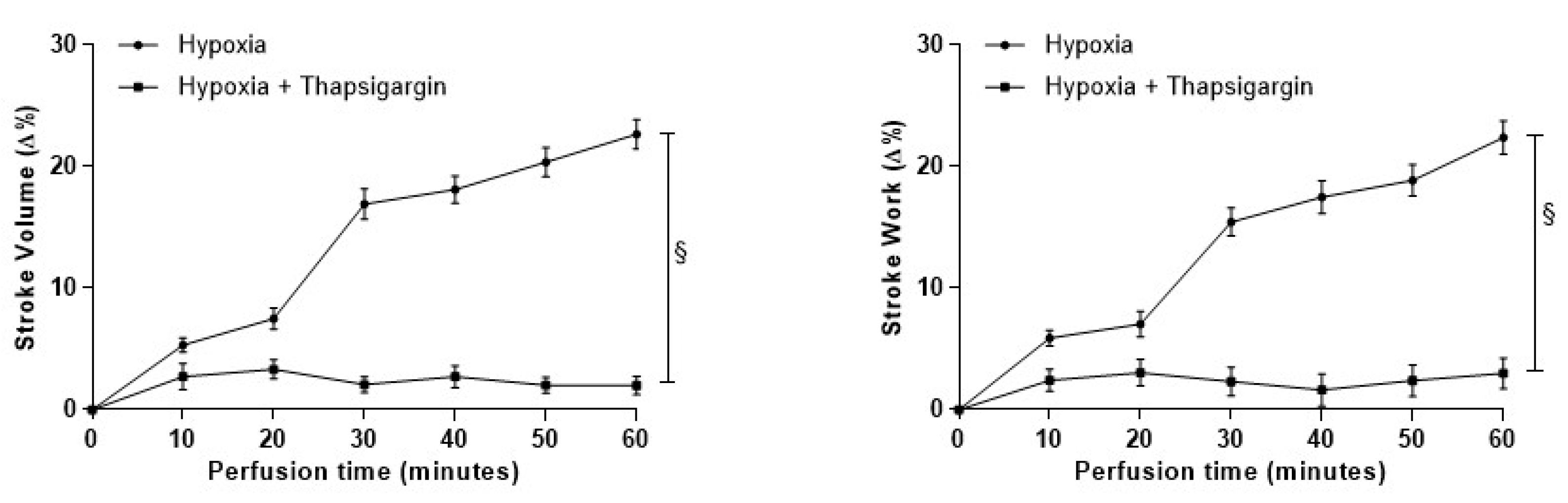Antioxidants 09 00555 g005 Antioxidants 09 00555 g005