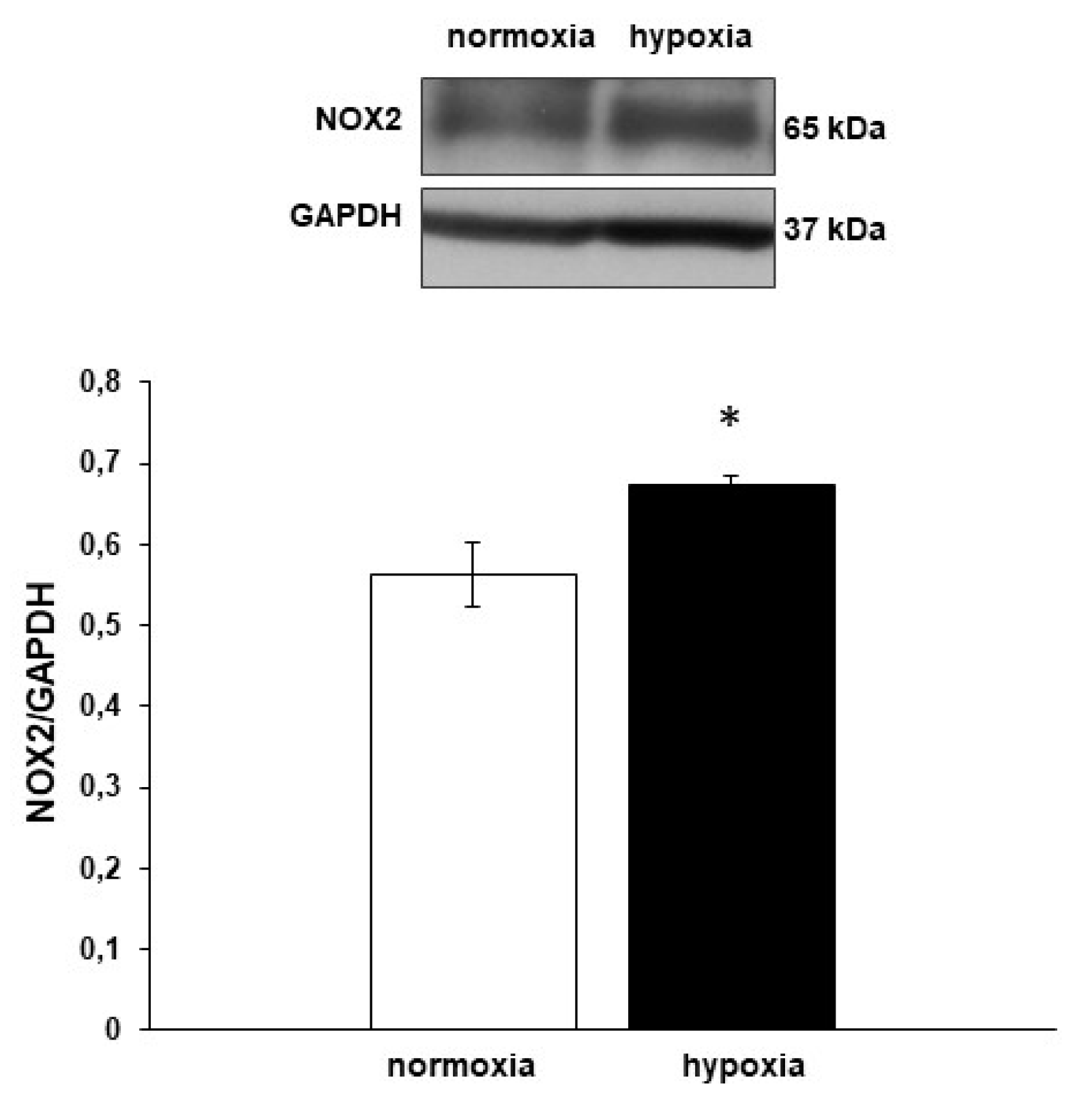 Antioxidants 09 00555 g006 Antioxidants 09 00555 g006