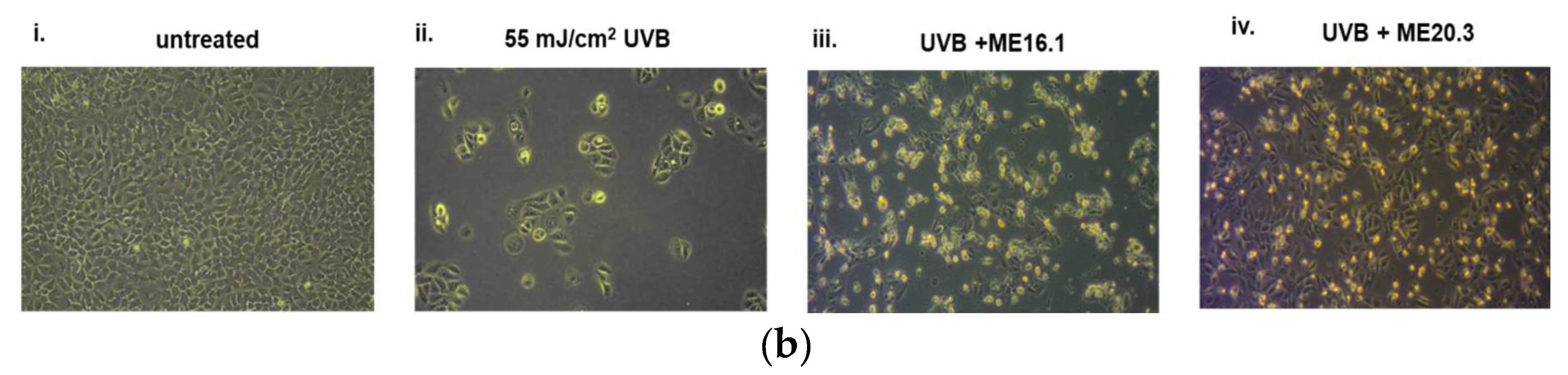 Antioxidants 09 00566 g003b Antioxidants 09 00566 g003b