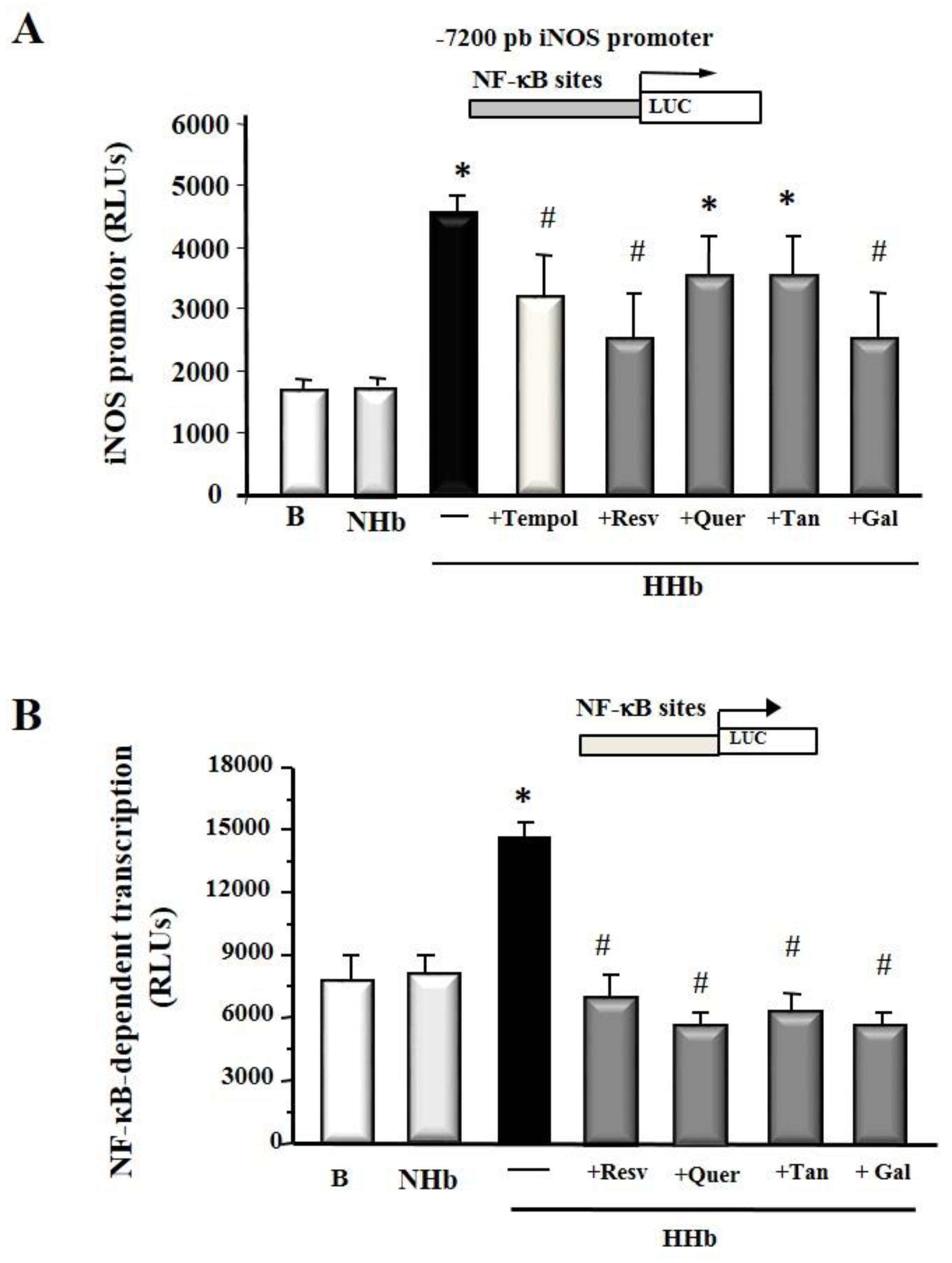 Antioxidants 09 00572 g002