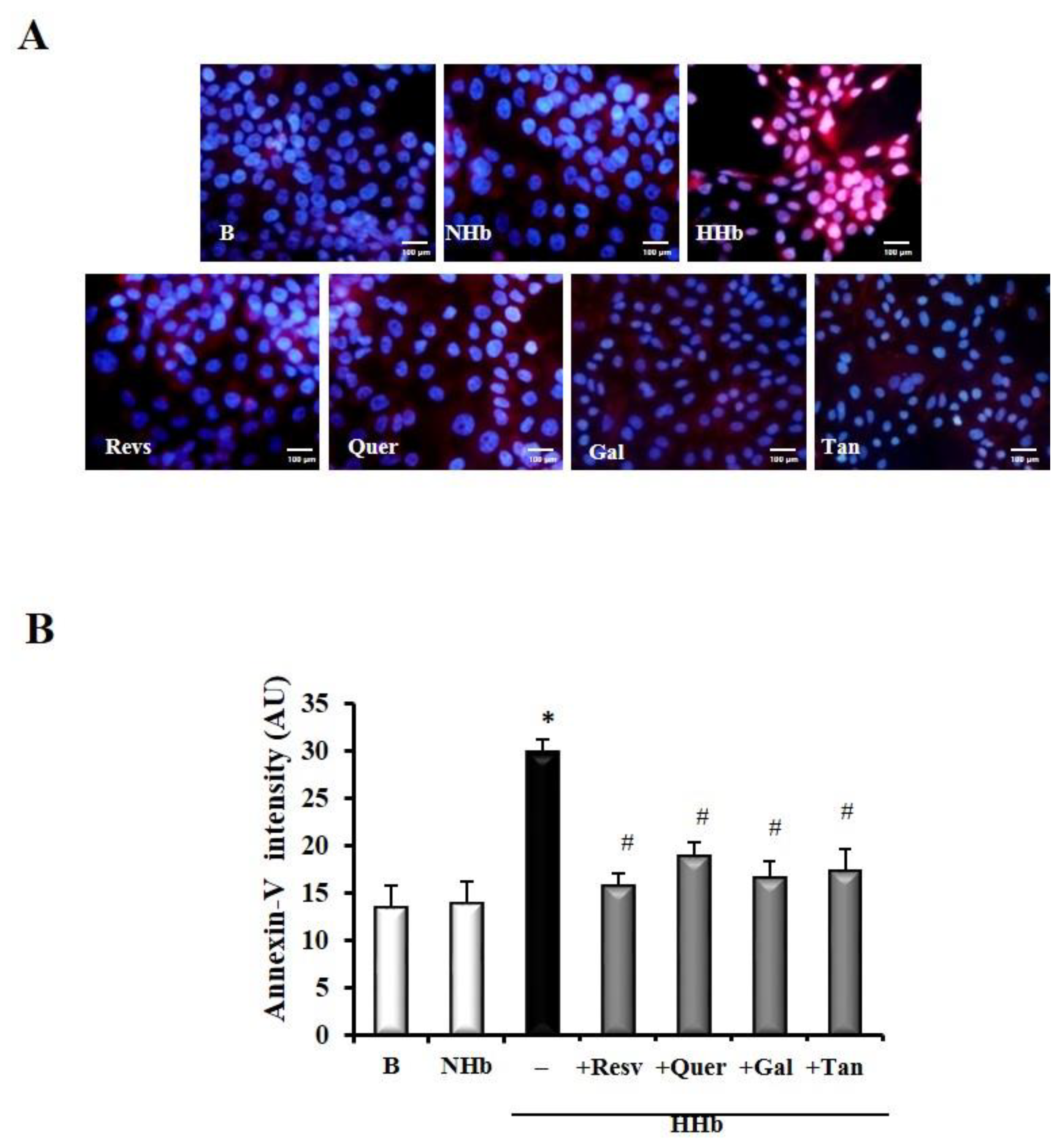 Antioxidants 09 00572 g004