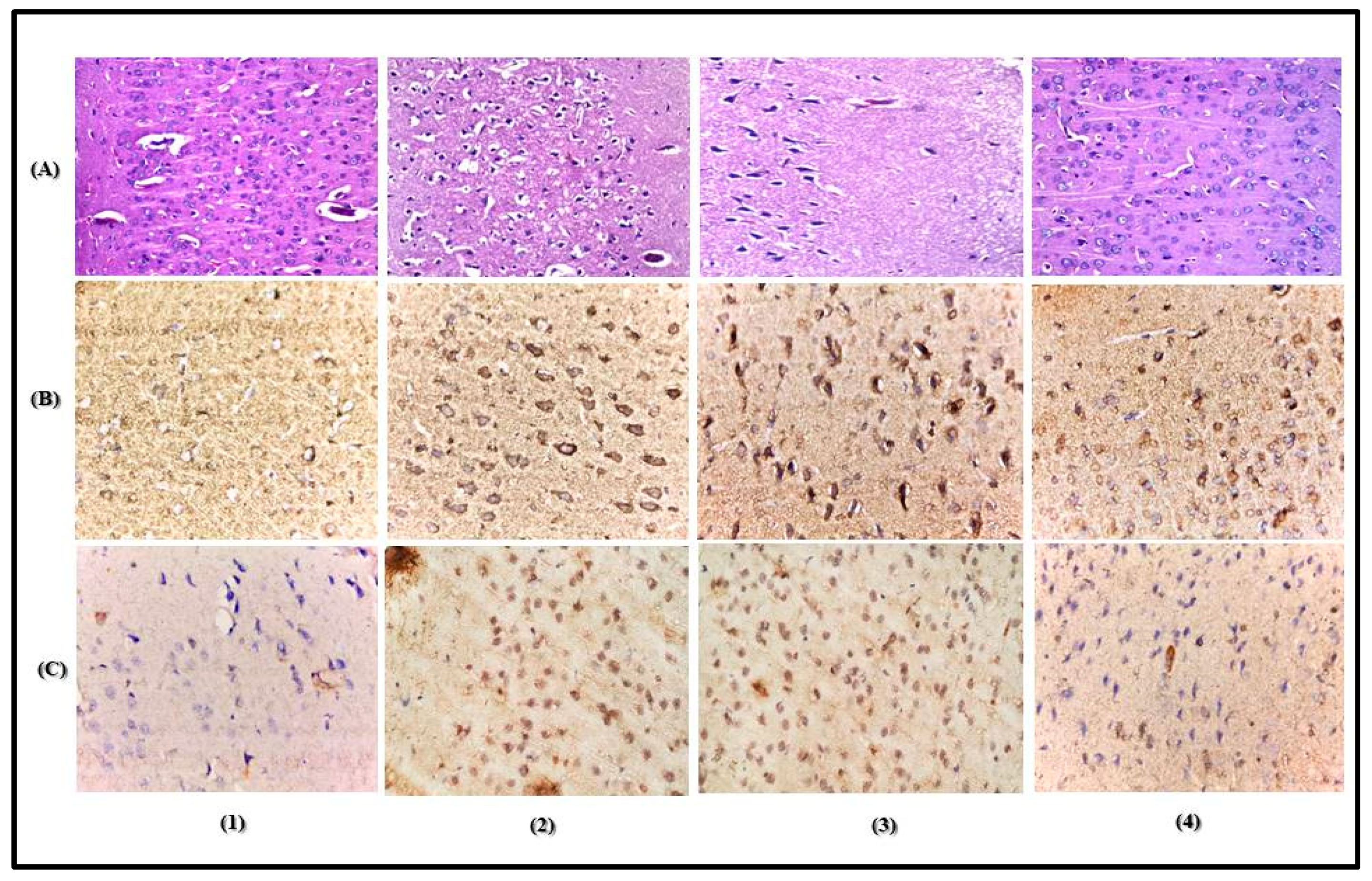 Antioxidants 09 00575 g004 Antioxidants 09 00575 g004