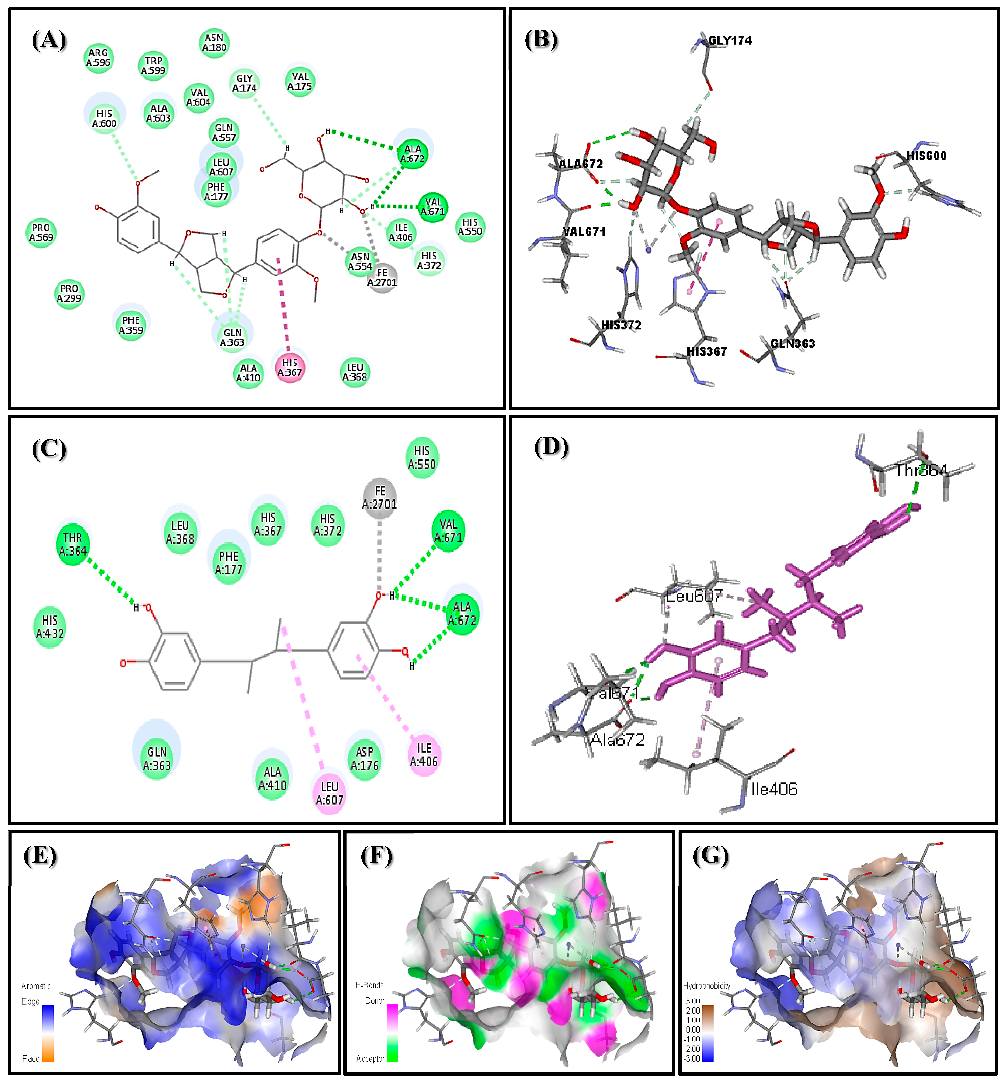 Antioxidants 09 00575 g007 Antioxidants 09 00575 g007