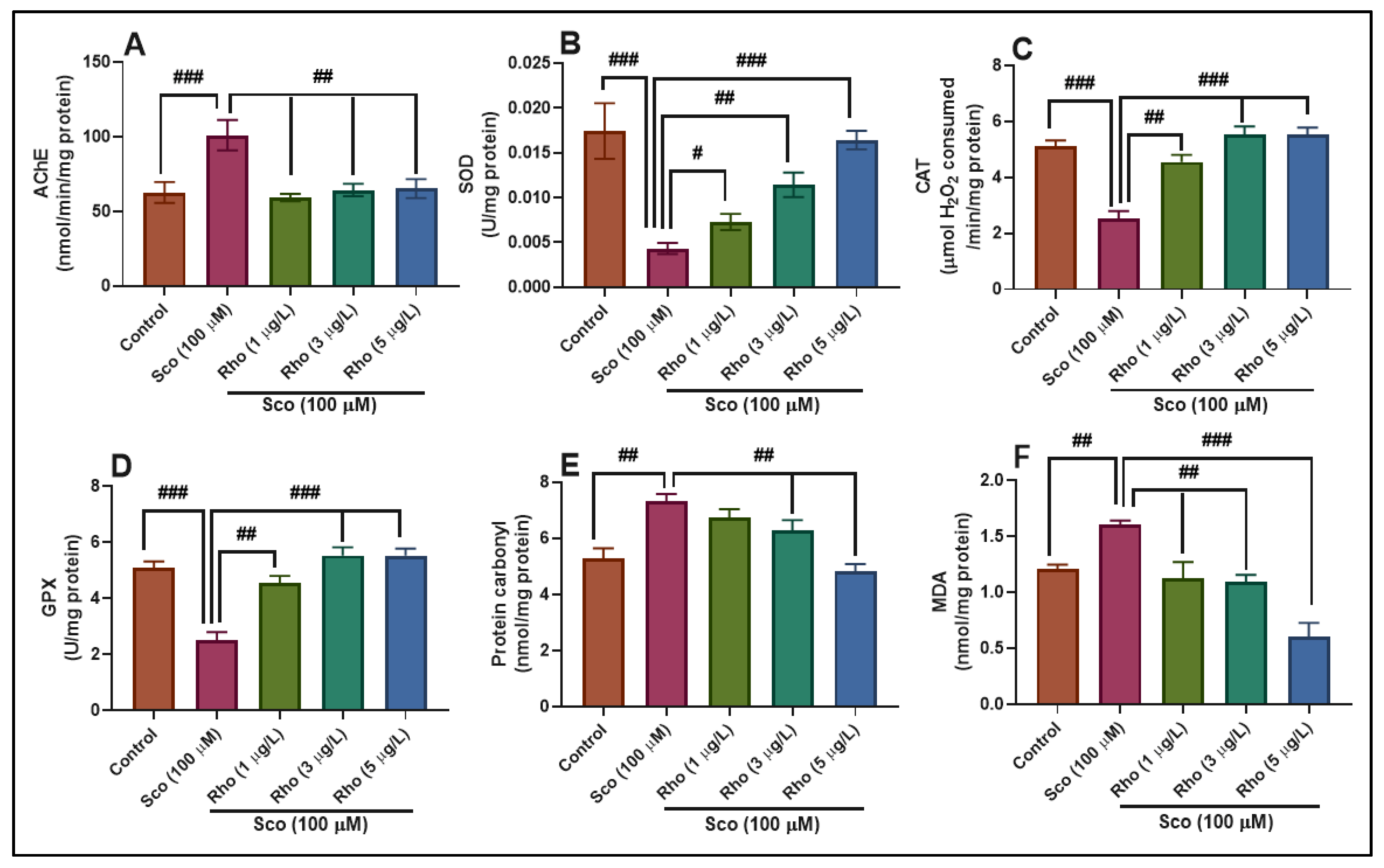 Antioxidants 09 00580 g005