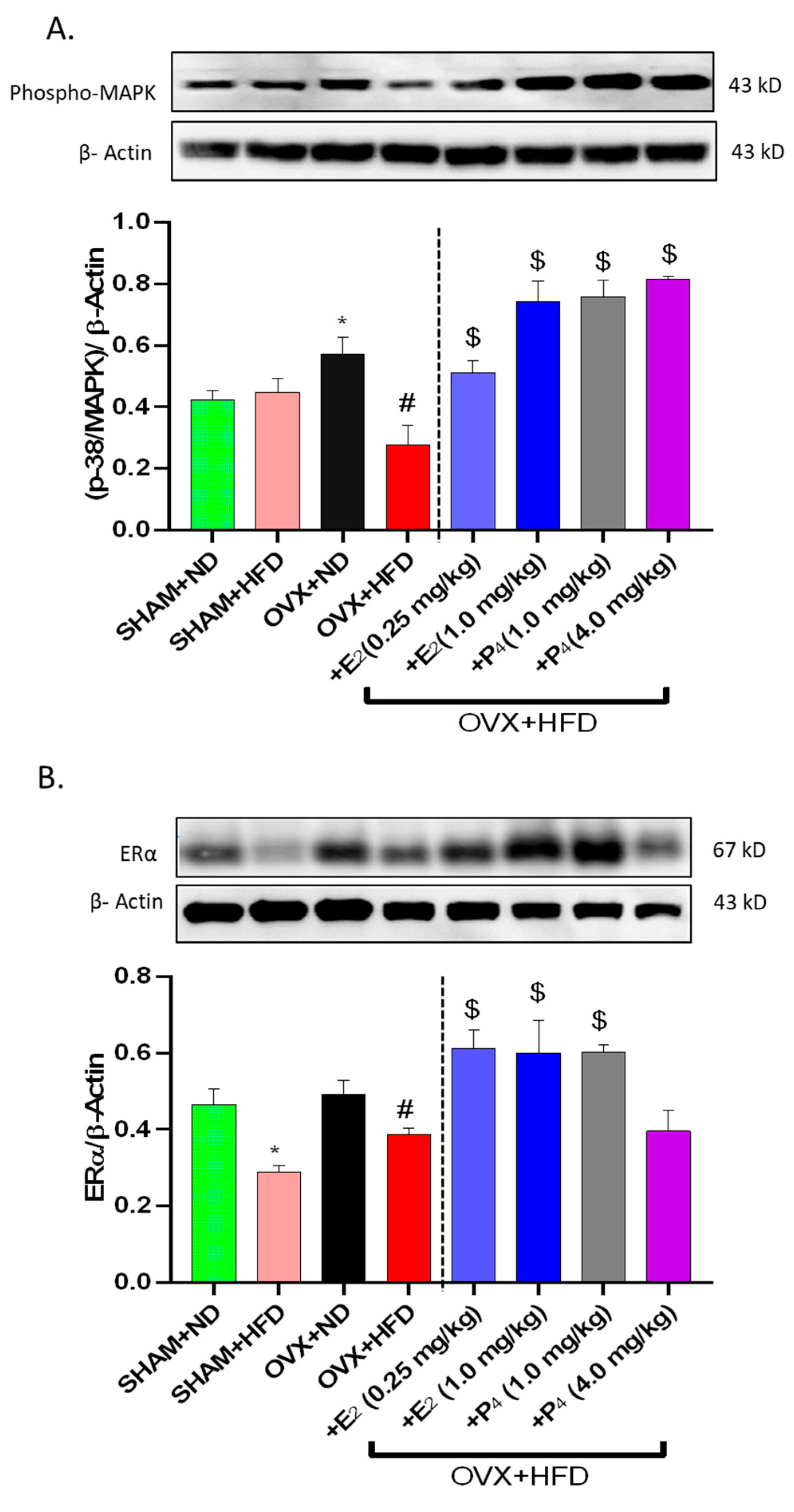 Antioxidants 09 00582 g004a Antioxidants 09 00582 g004a