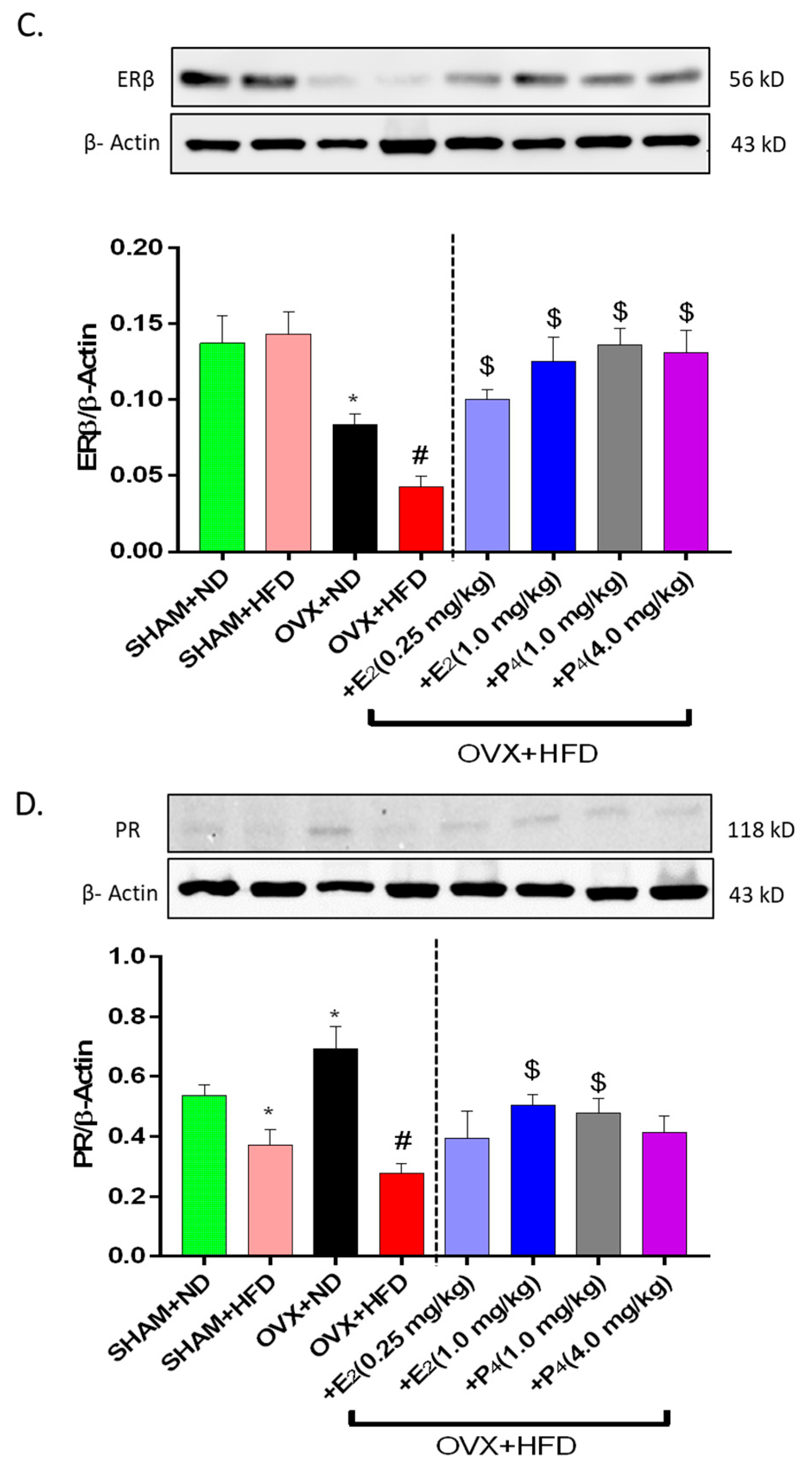 Antioxidants 09 00582 g004b Antioxidants 09 00582 g004b