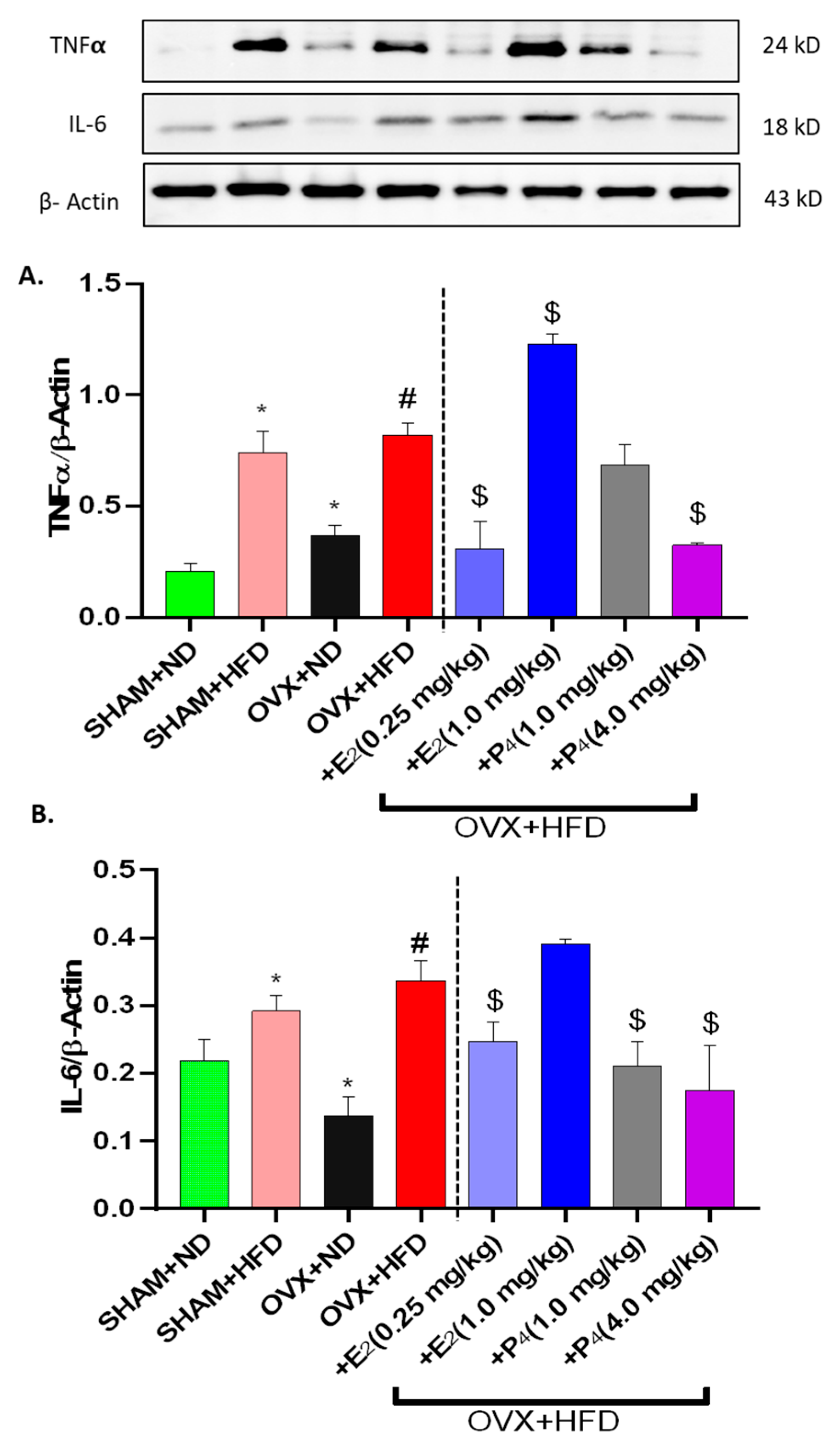 Antioxidants 09 00582 g005 Antioxidants 09 00582 g005