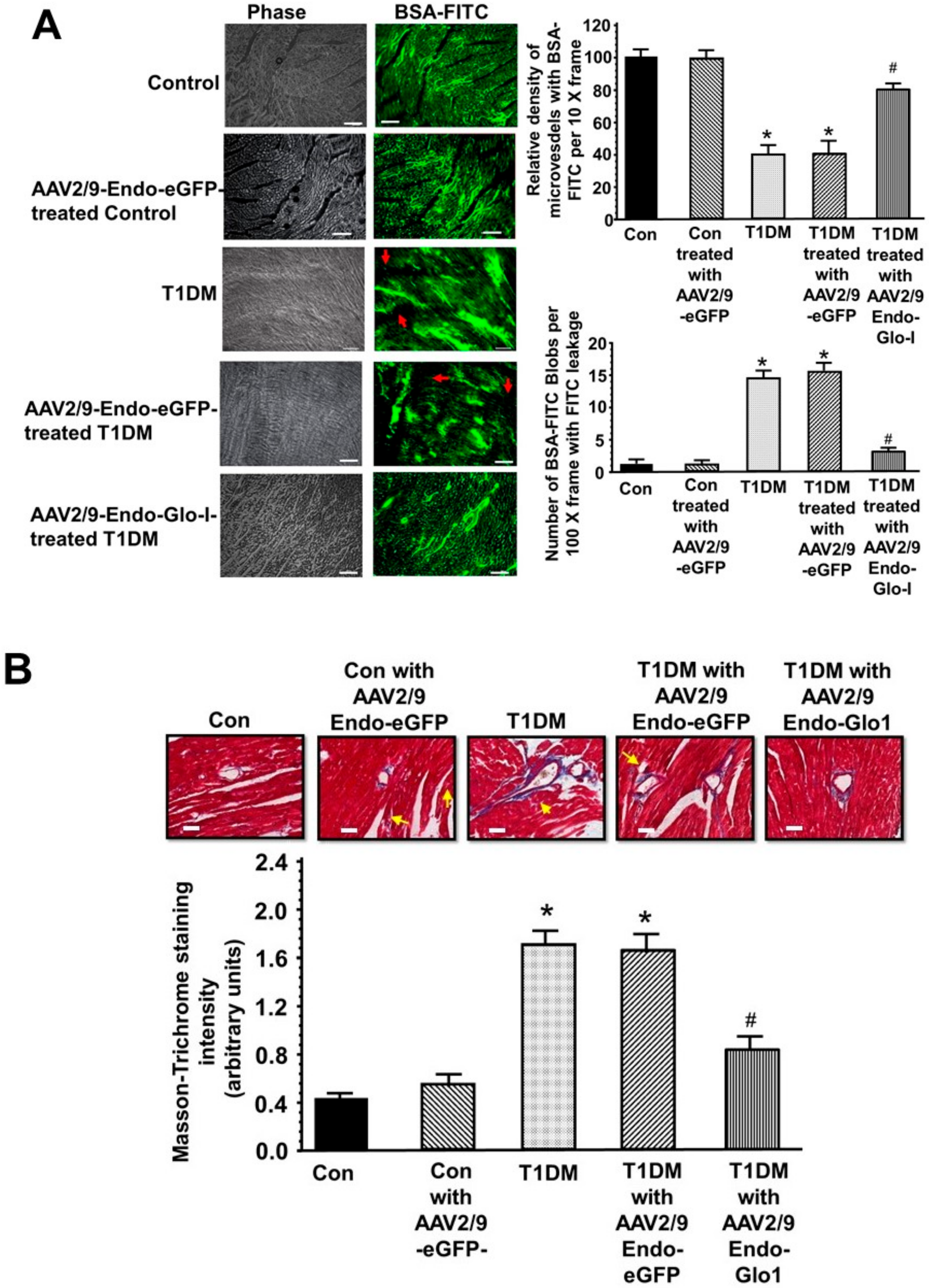 Antioxidants 09 00592 g005 Antioxidants 09 00592 g005