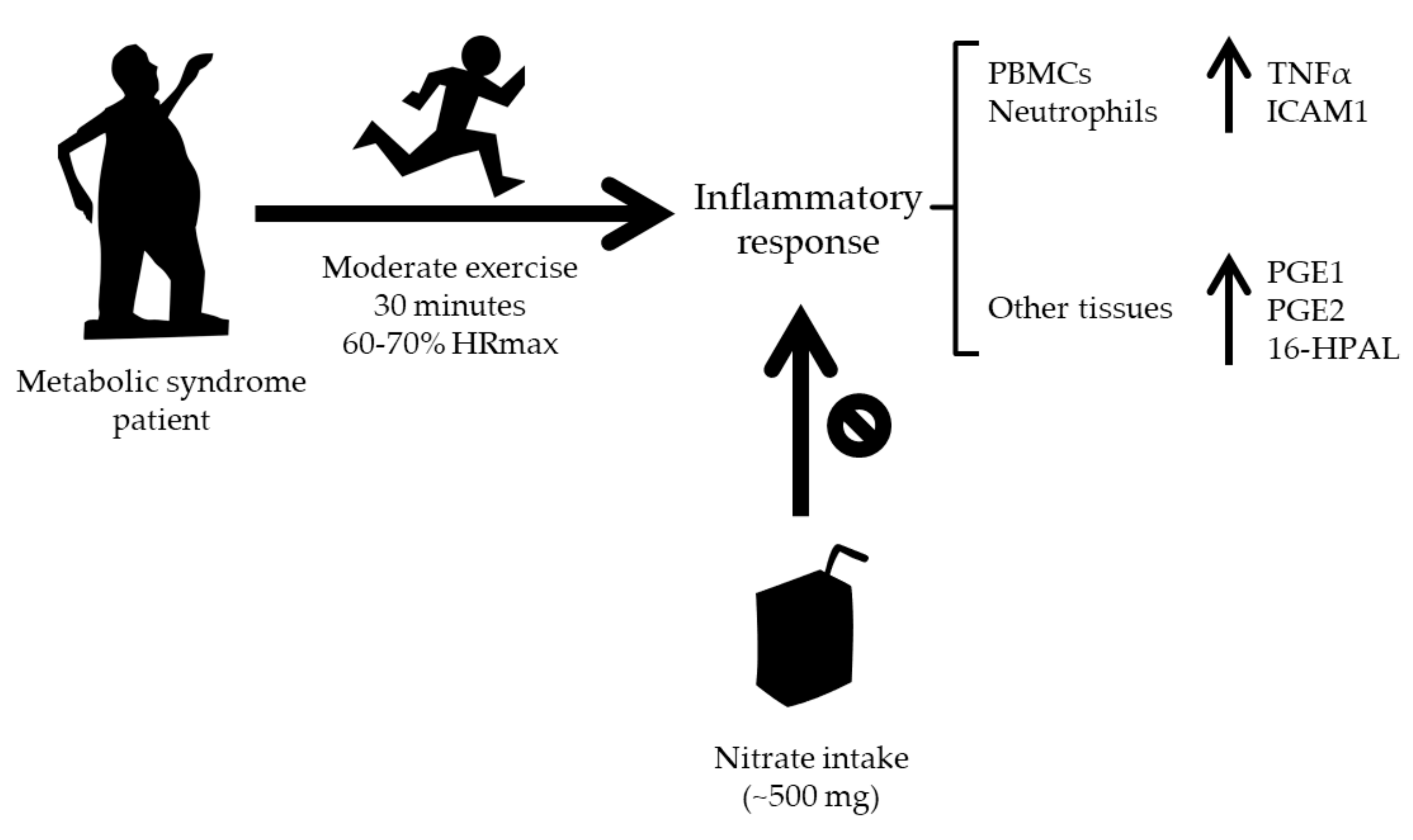 Antioxidants 09 00596 g003