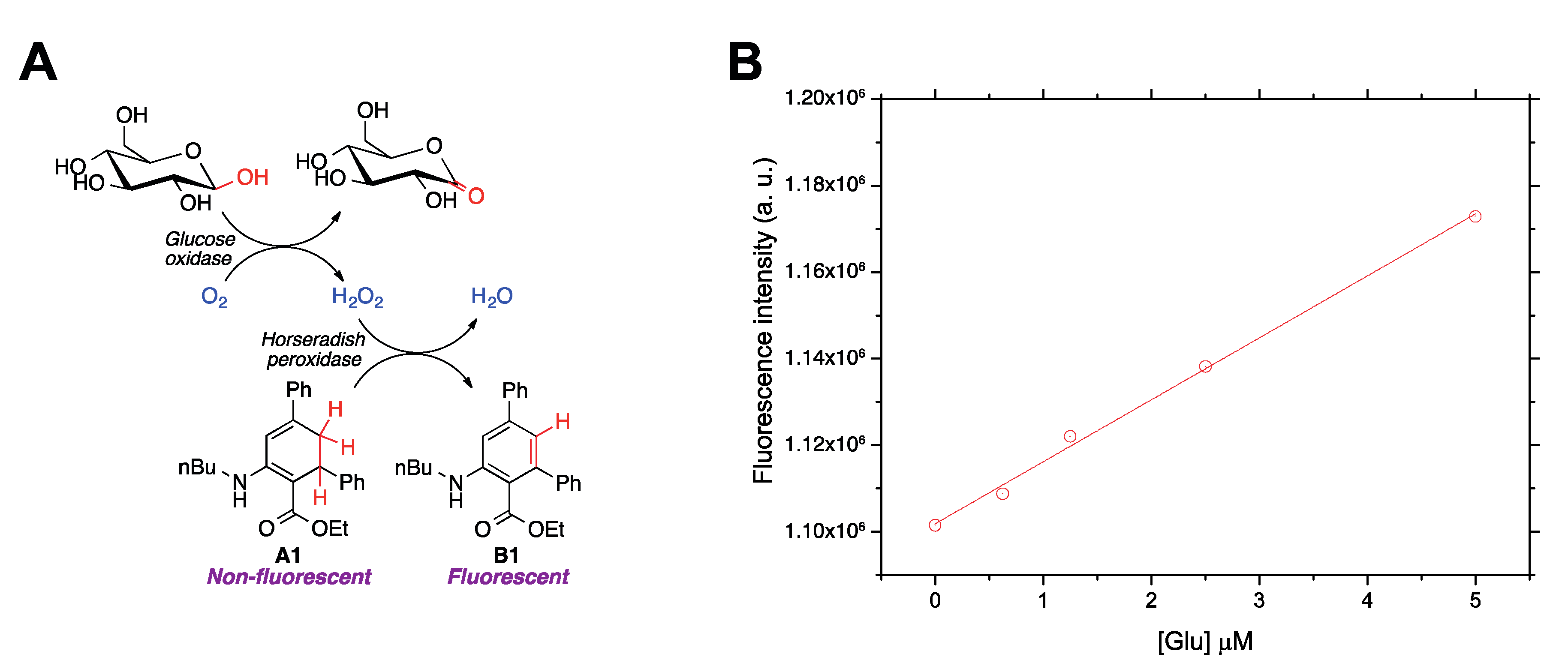 Antioxidants 09 00605 g005 Antioxidants 09 00605 g005