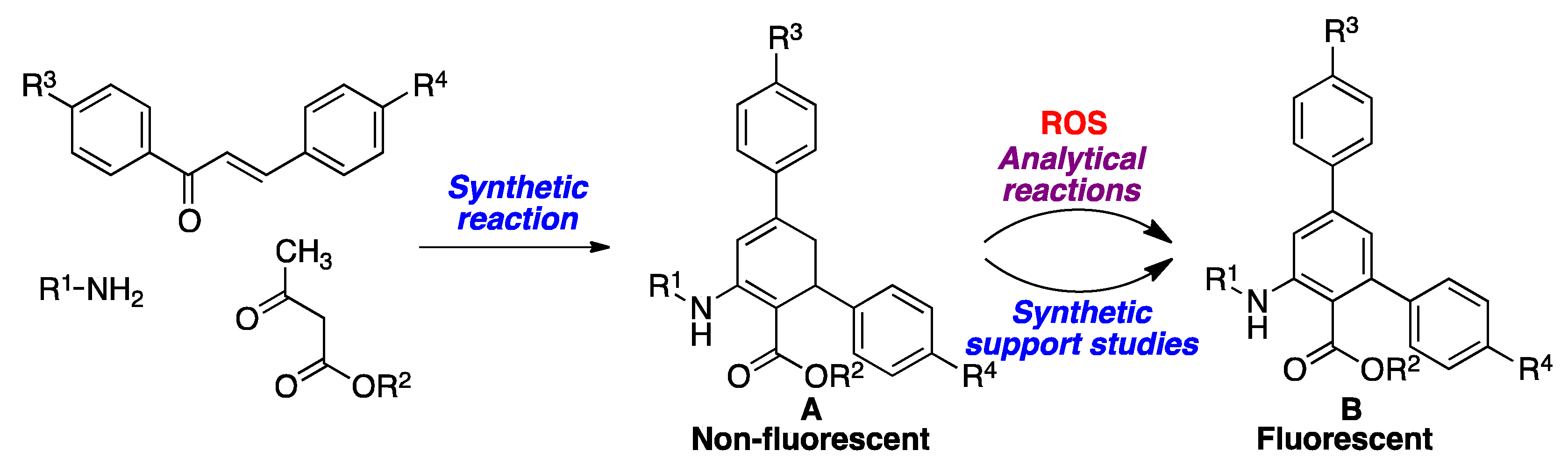 Antioxidants 09 00605 sch001 Antioxidants 09 00605 sch001