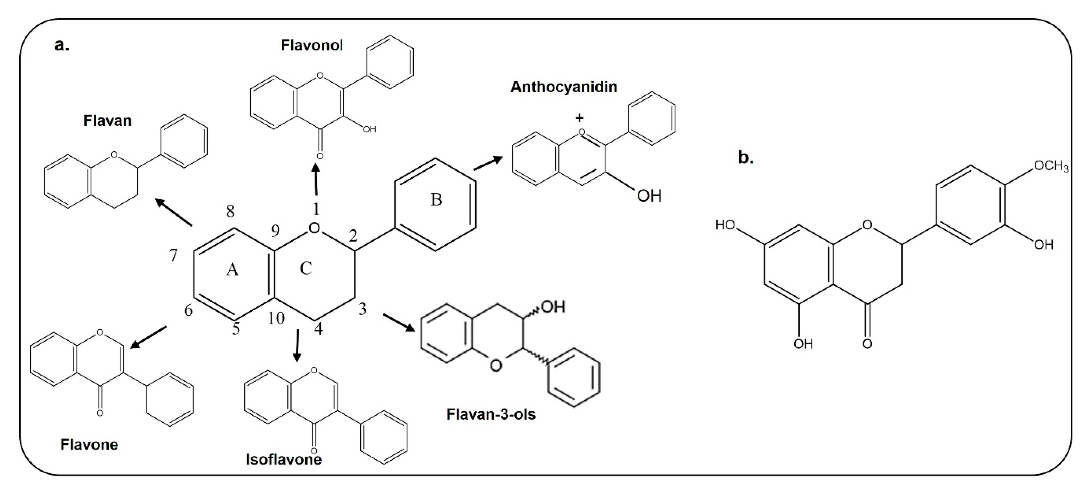 Antioxidants 09 00609 g002