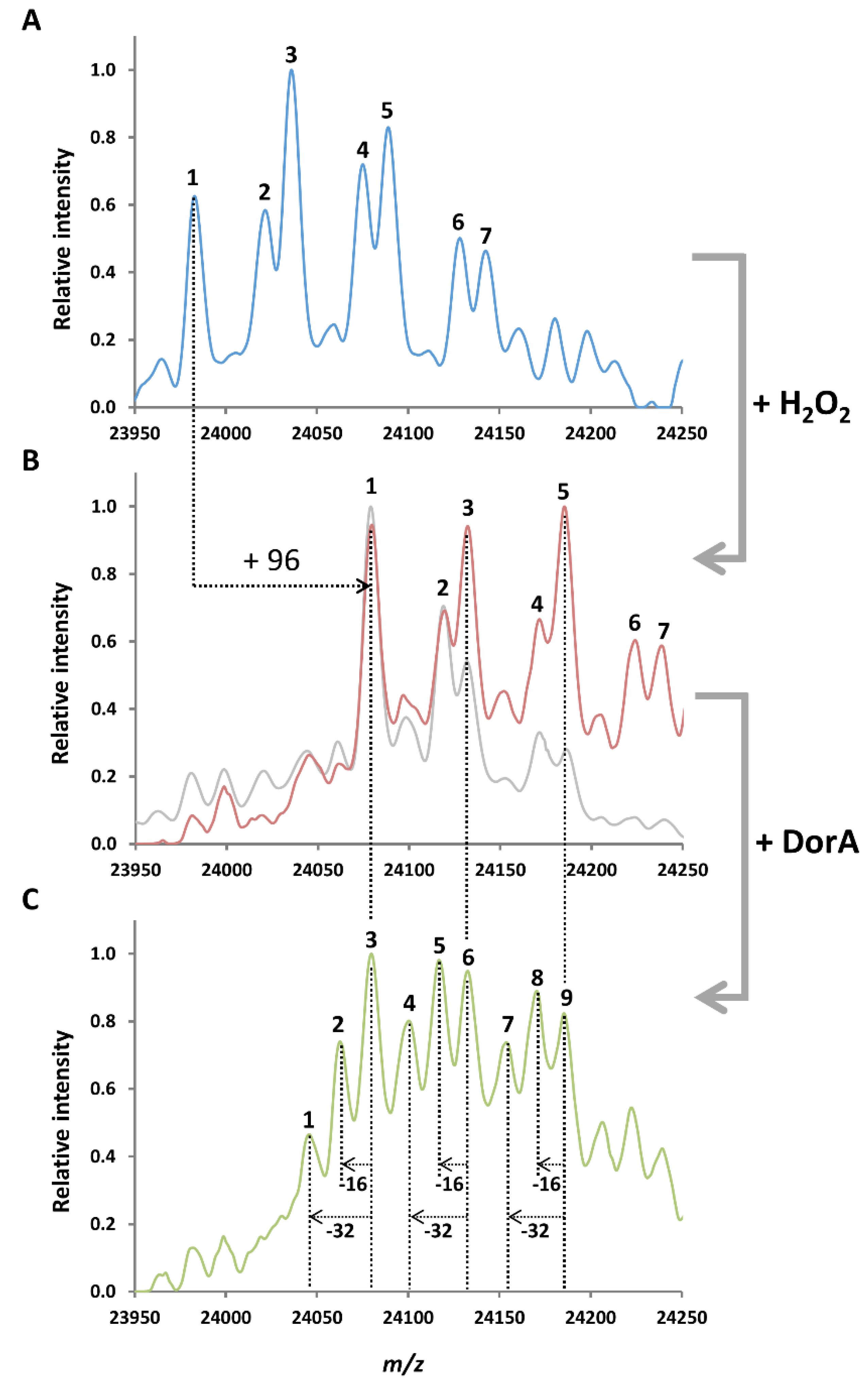 Antioxidants 09 00616 g001 Antioxidants 09 00616 g001