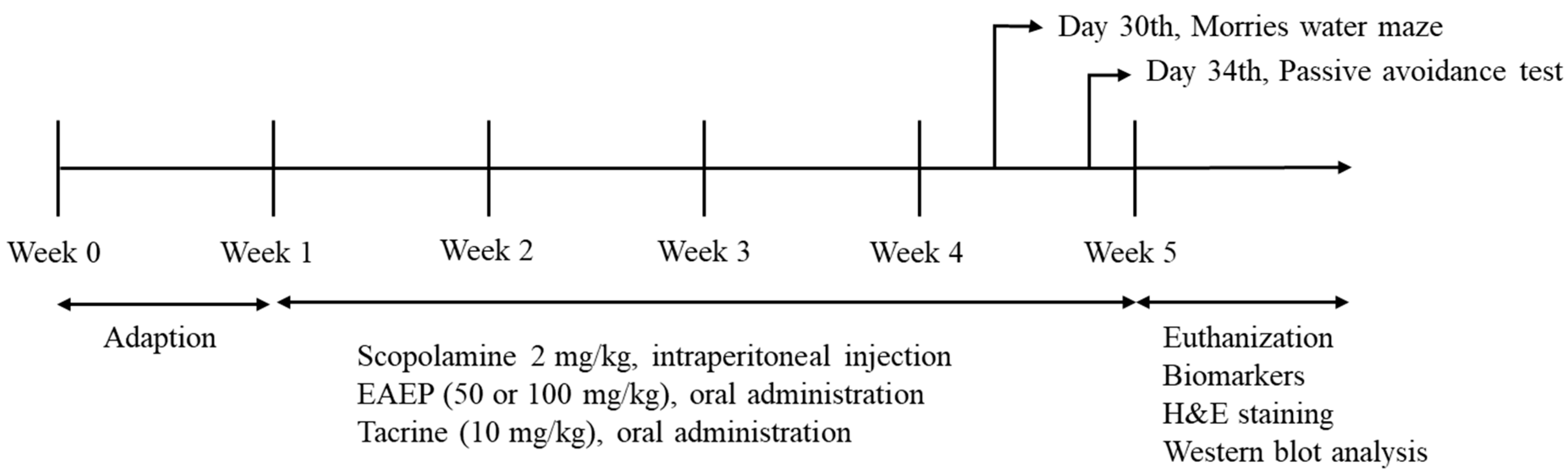Antioxidants 09 00620 g001