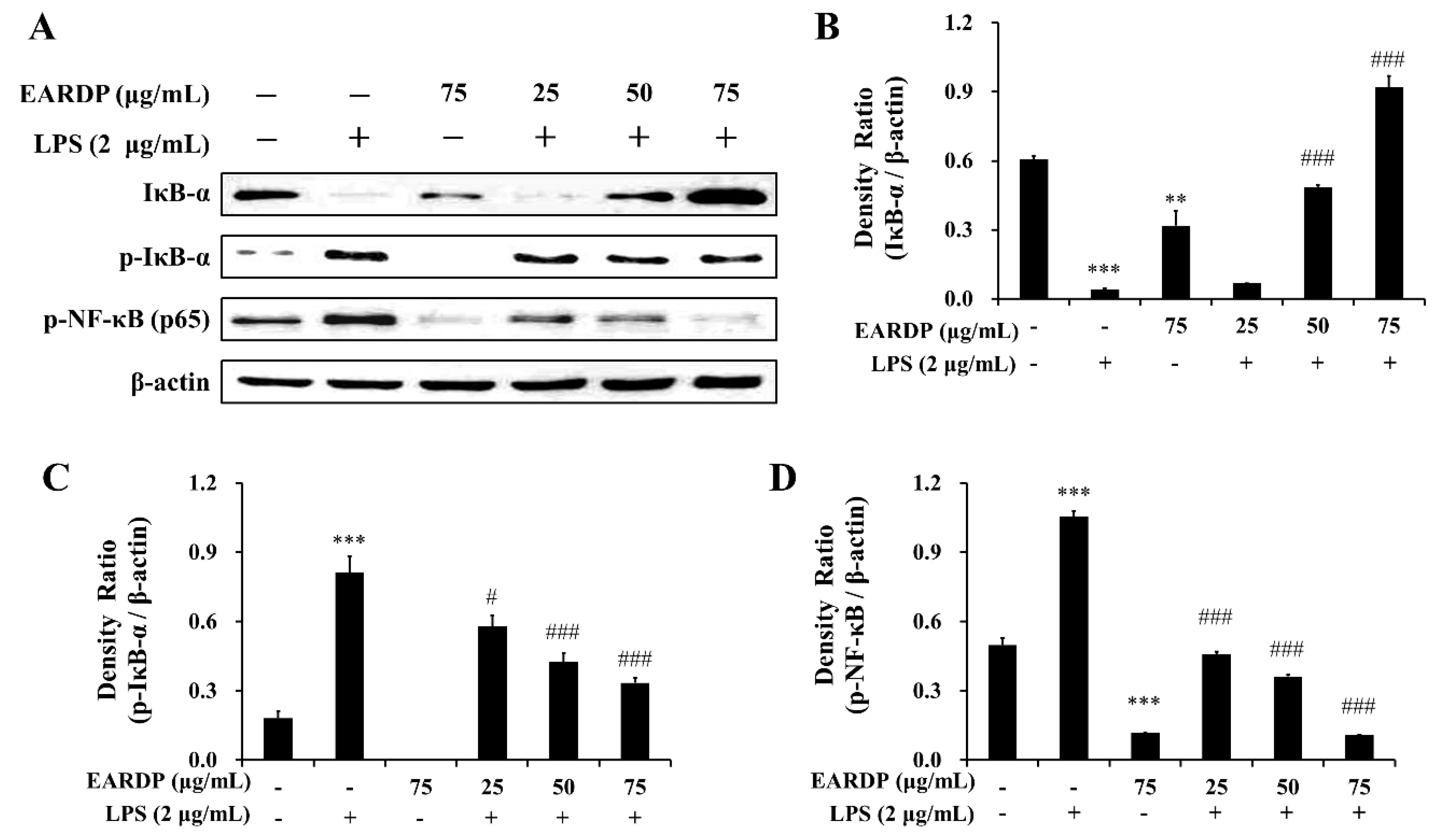 Antioxidants 09 00622 g004 Antioxidants 09 00622 g004