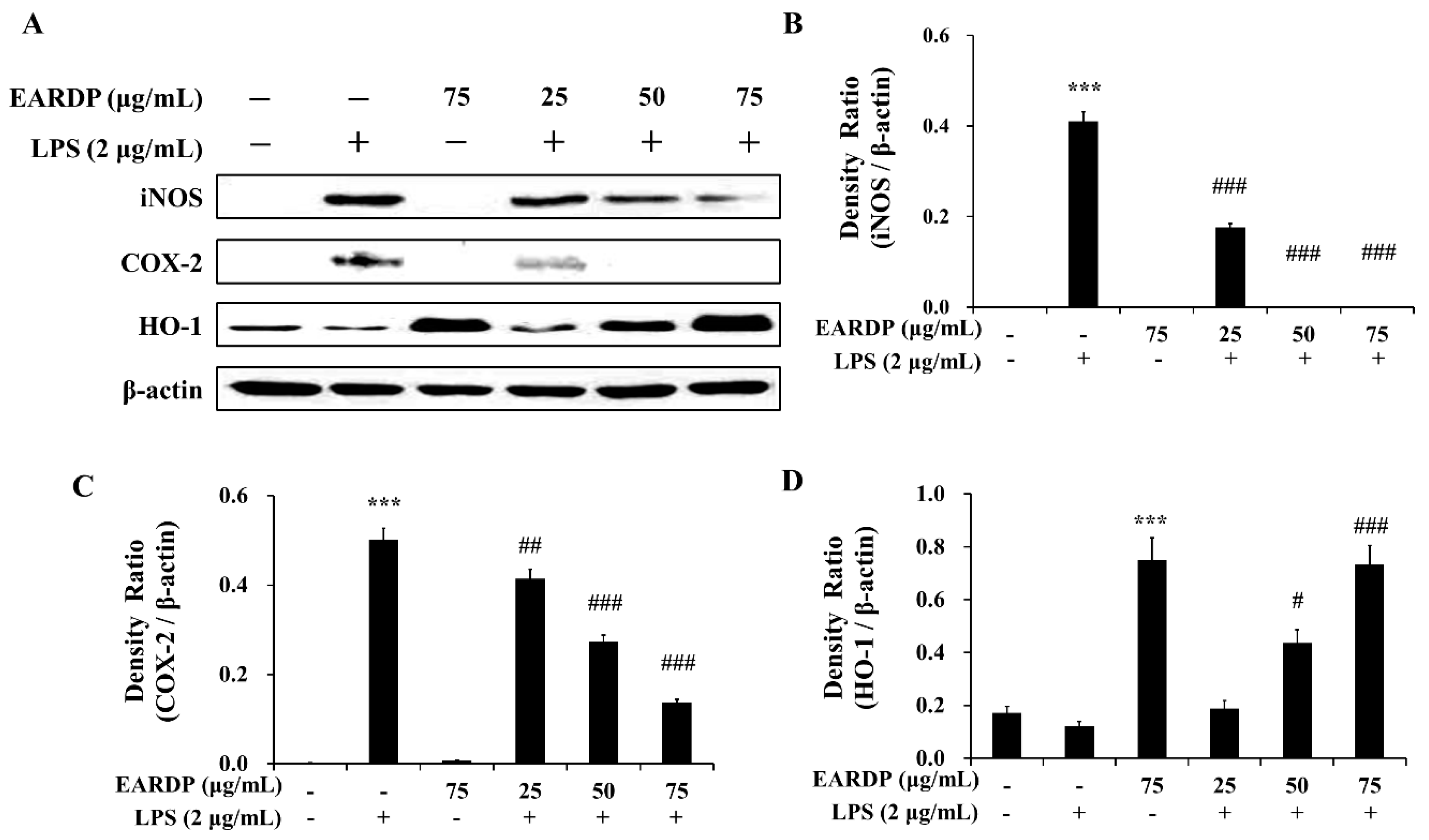 Antioxidants 09 00622 g006 Antioxidants 09 00622 g006