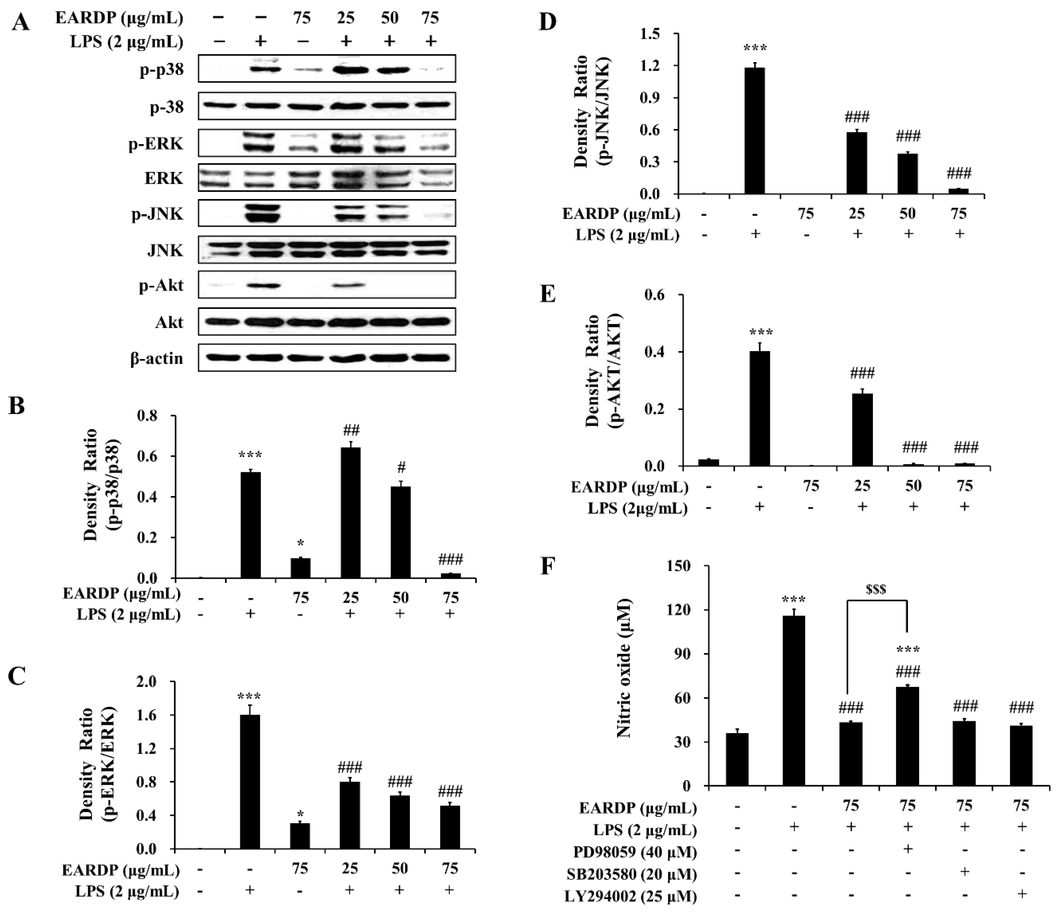 Antioxidants 09 00622 g008 Antioxidants 09 00622 g008