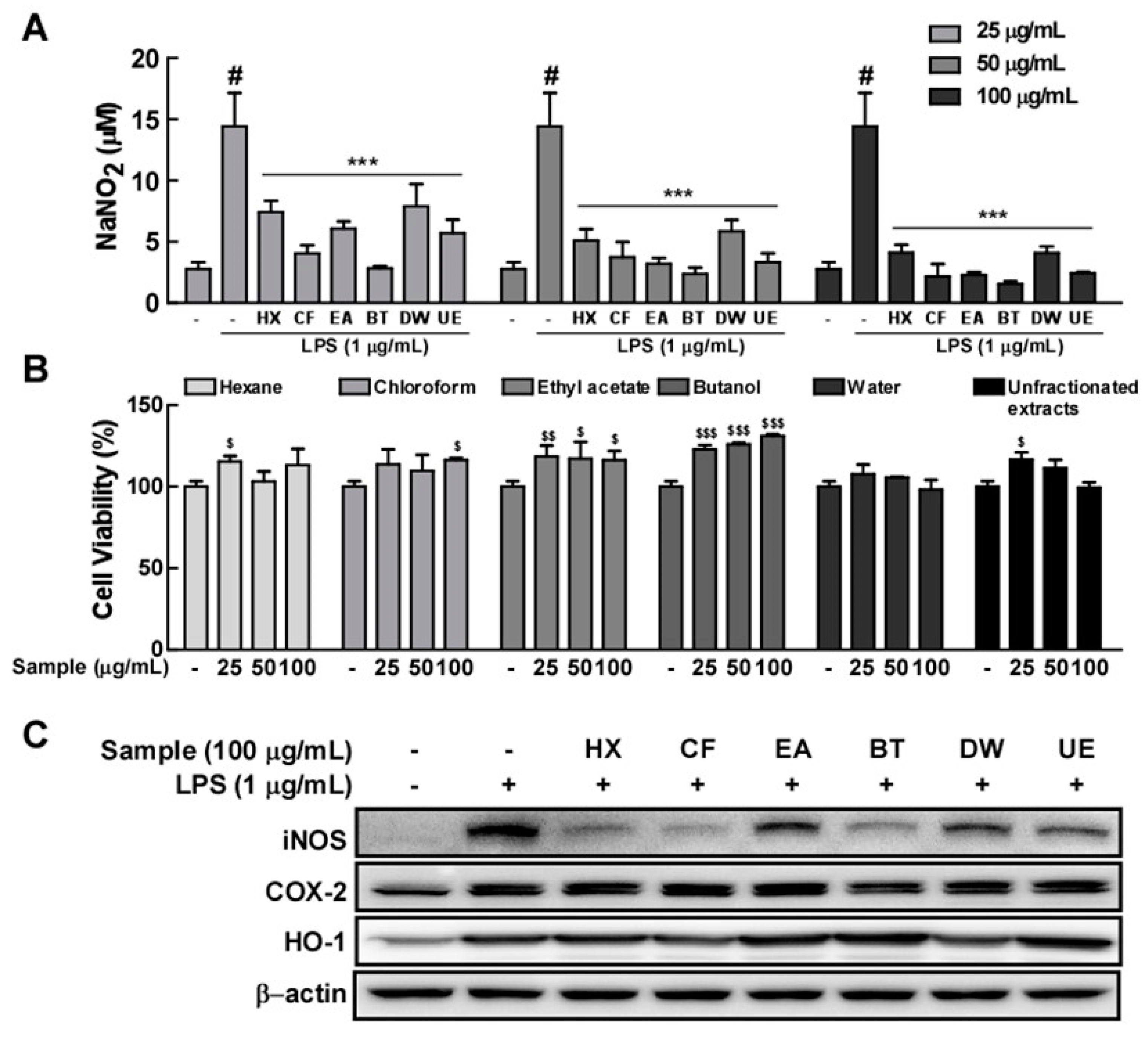 Antioxidants 09 00626 g006 Antioxidants 09 00626 g006