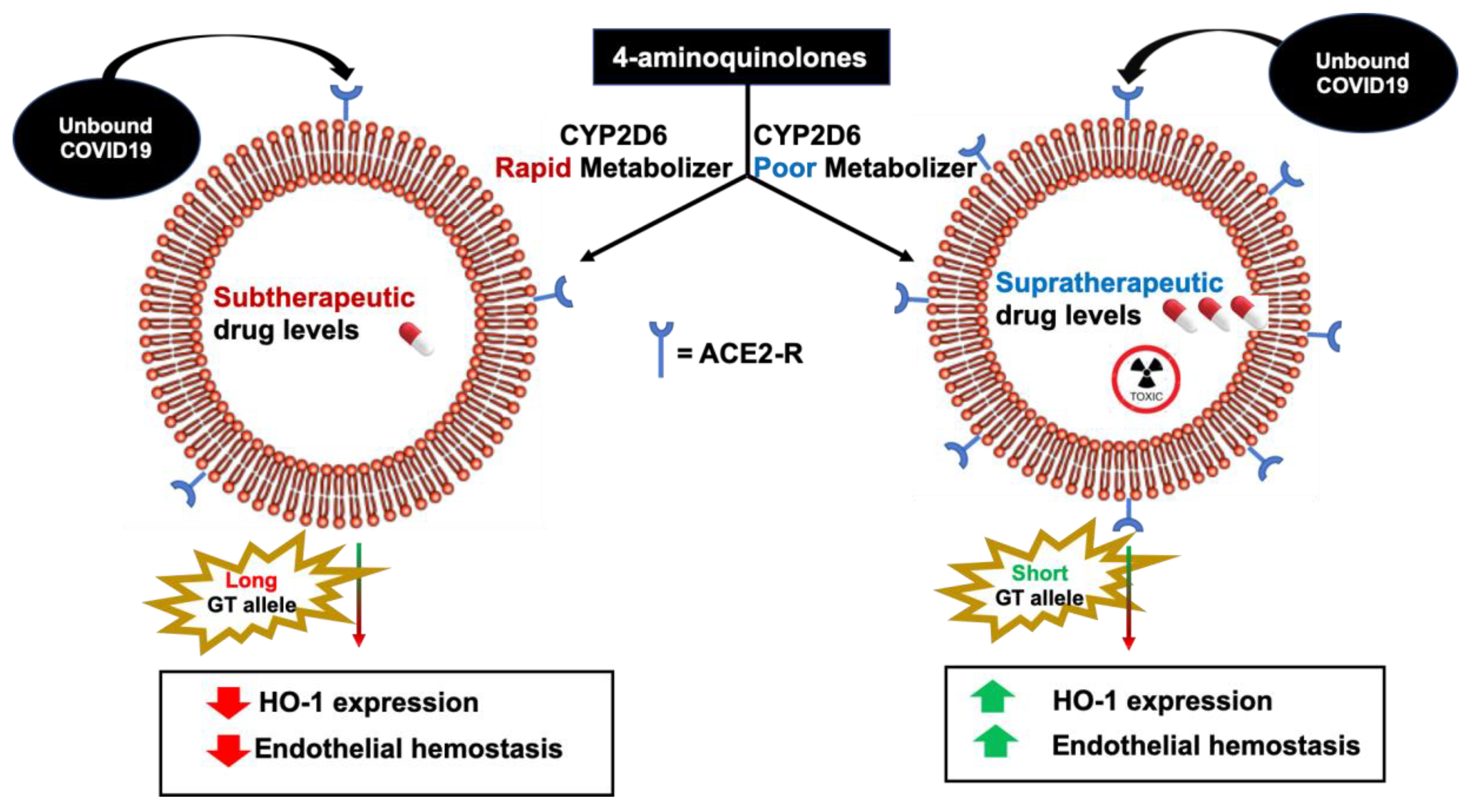 Antioxidants 09 00636 g005 Antioxidants 09 00636 g005