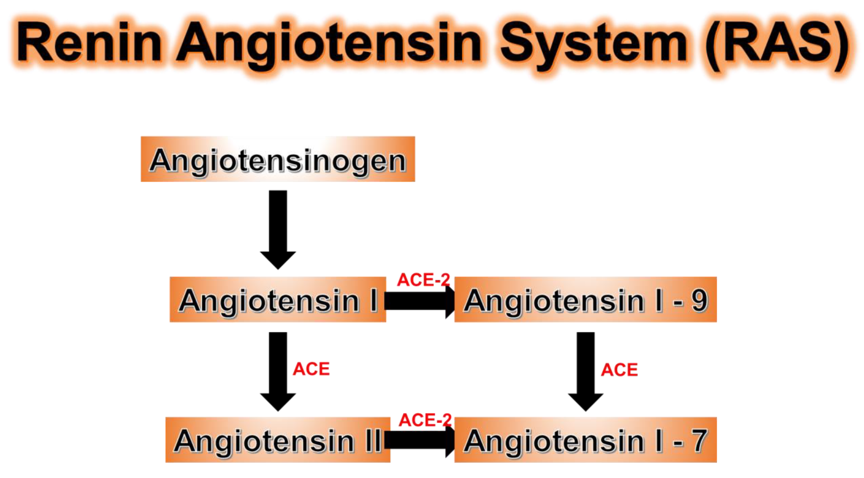 Antioxidants 09 00636 g008 Antioxidants 09 00636 g008