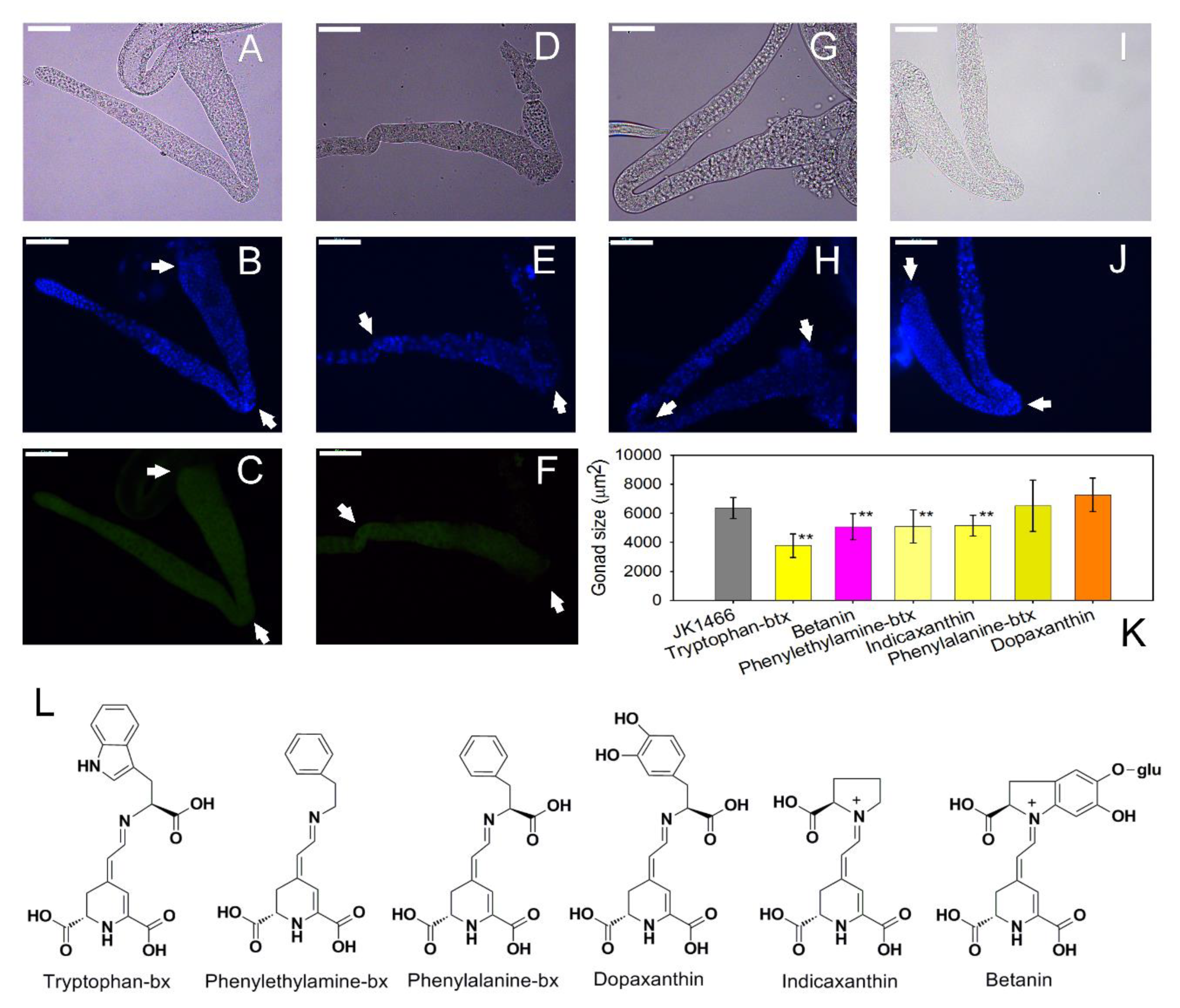 Antioxidants 09 00646 g004