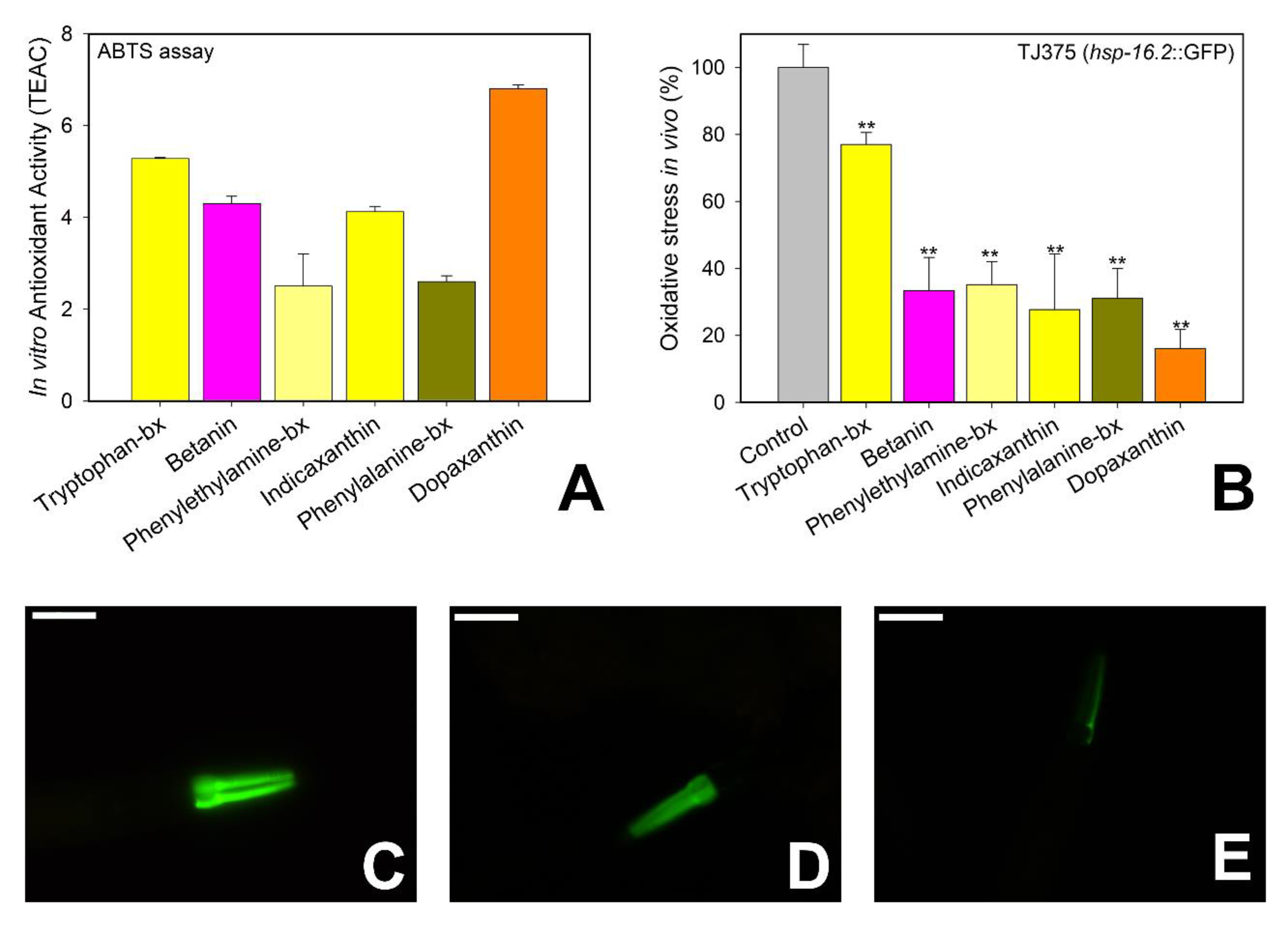 Antioxidants 09 00646 g006