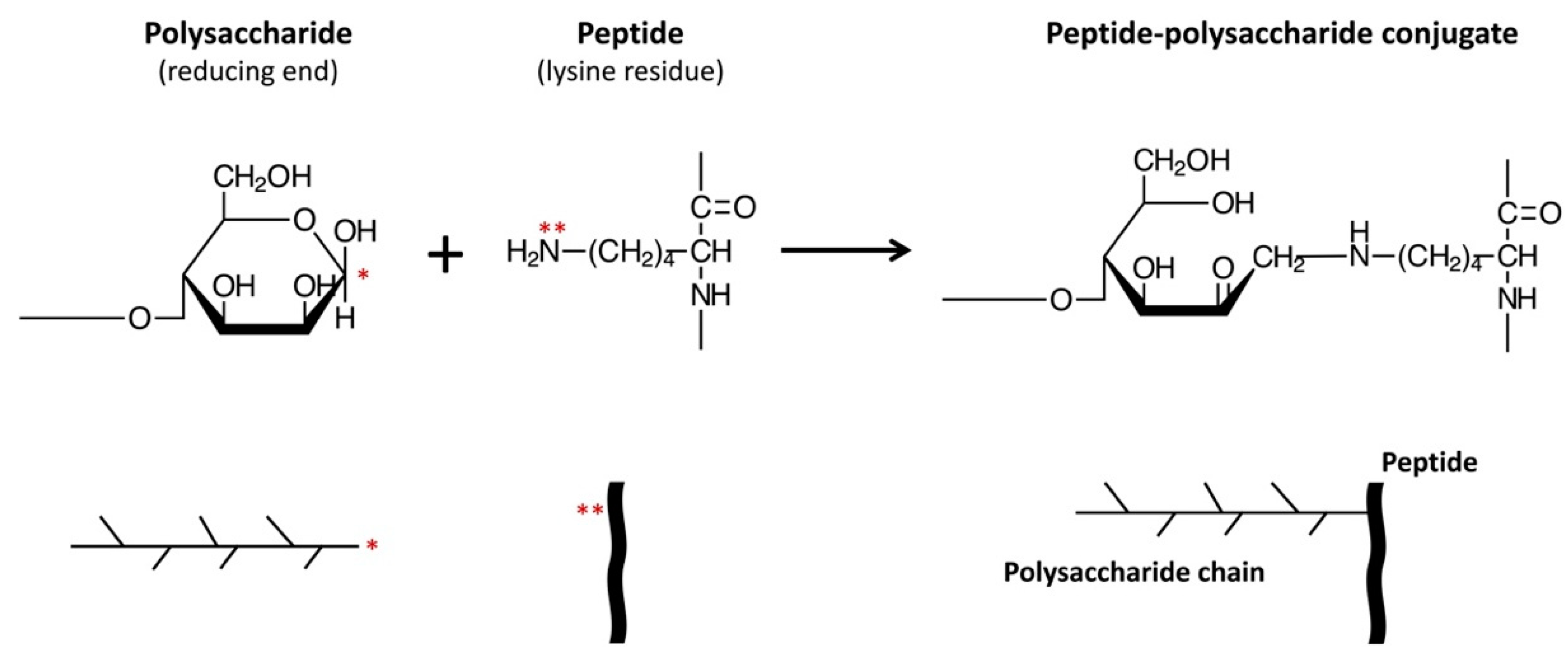 Antioxidants 09 00648 g001 Antioxidants 09 00648 g001