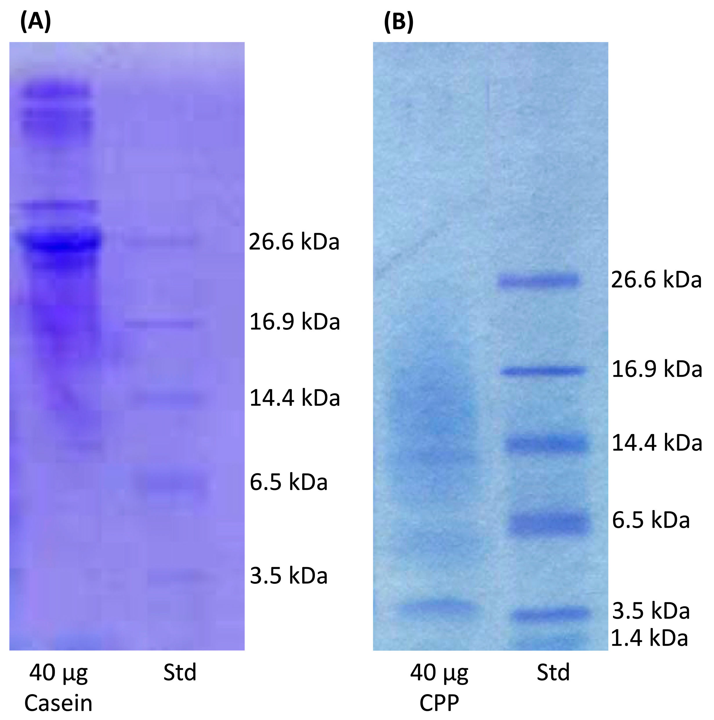 Antioxidants 09 00648 g002 Antioxidants 09 00648 g002