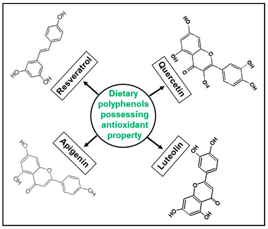 Antioxidants Free Full Text Dietary Polyphenols In Cancer Chemoprevention Implications In Pancreatic Cancer Html