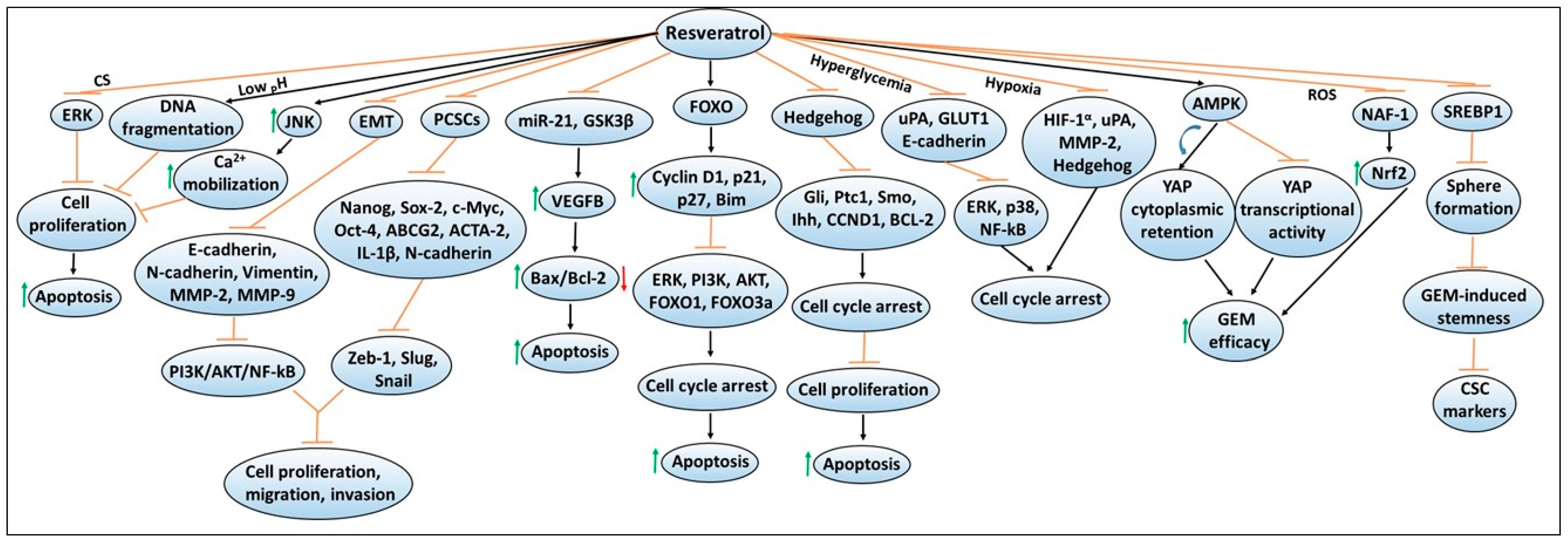 Antioxidants 09 00651 g003