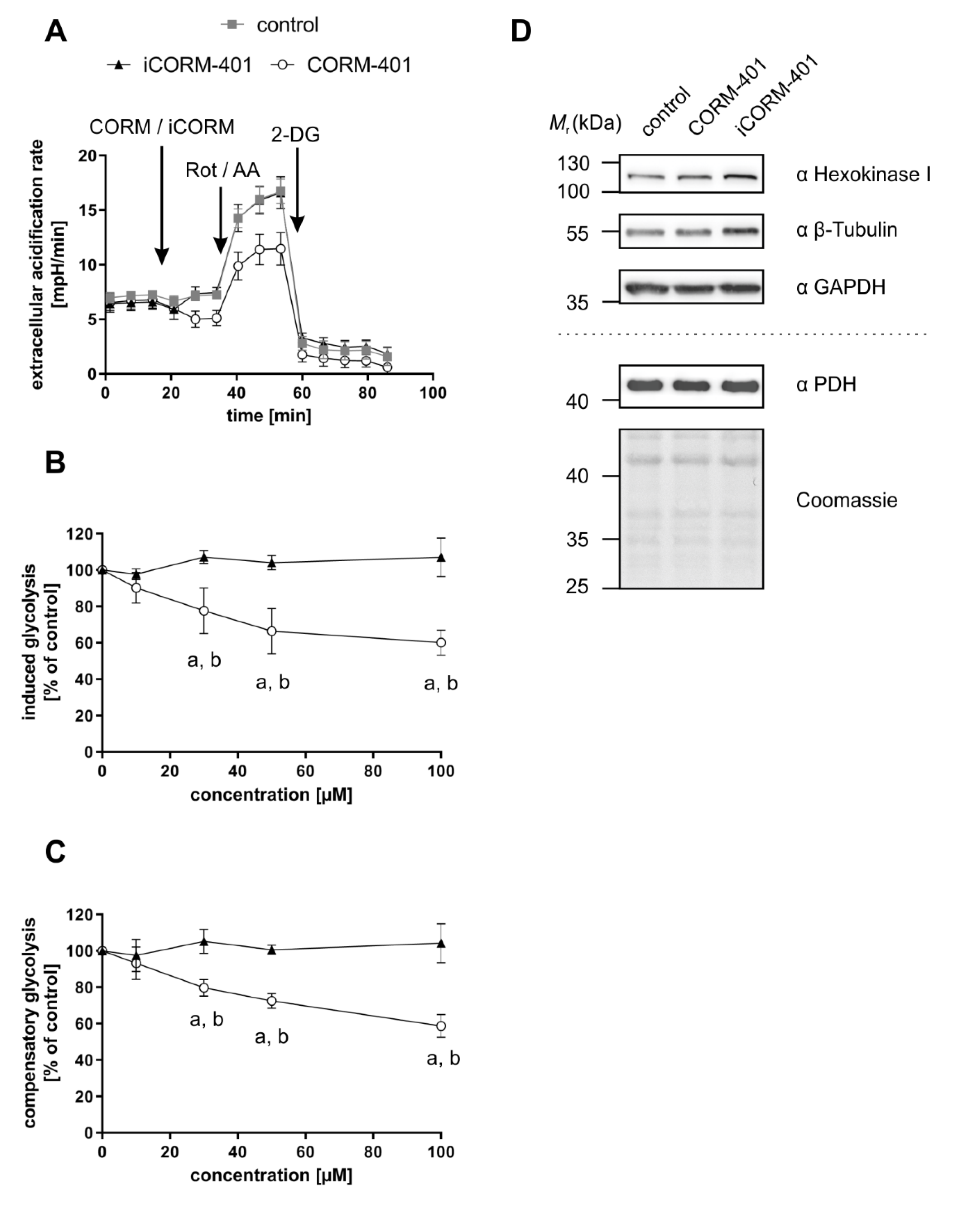 Antioxidants 09 00652 g004 Antioxidants 09 00652 g004