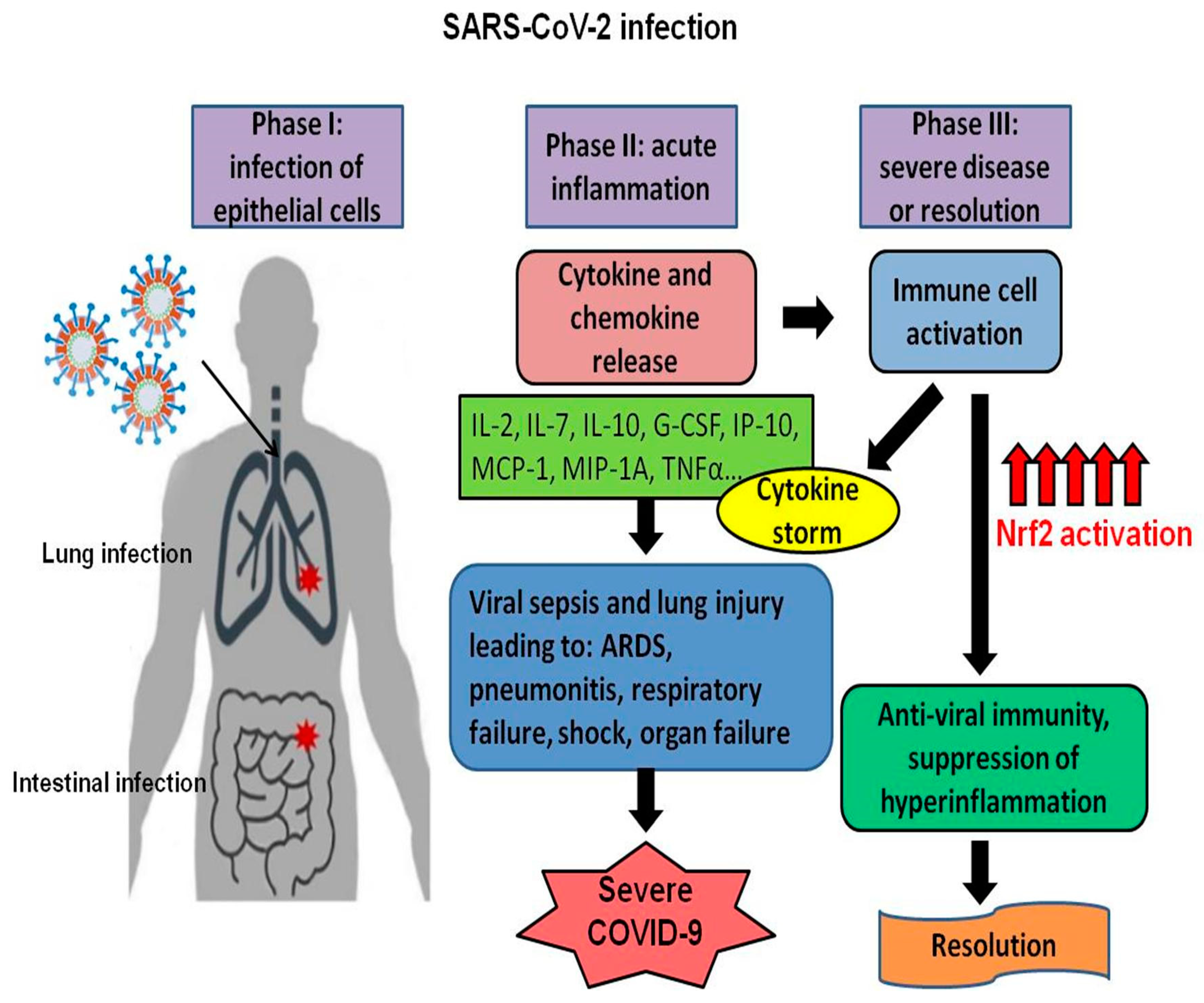 Antioxidants 09 00659 g003 Antioxidants 09 00659 g003