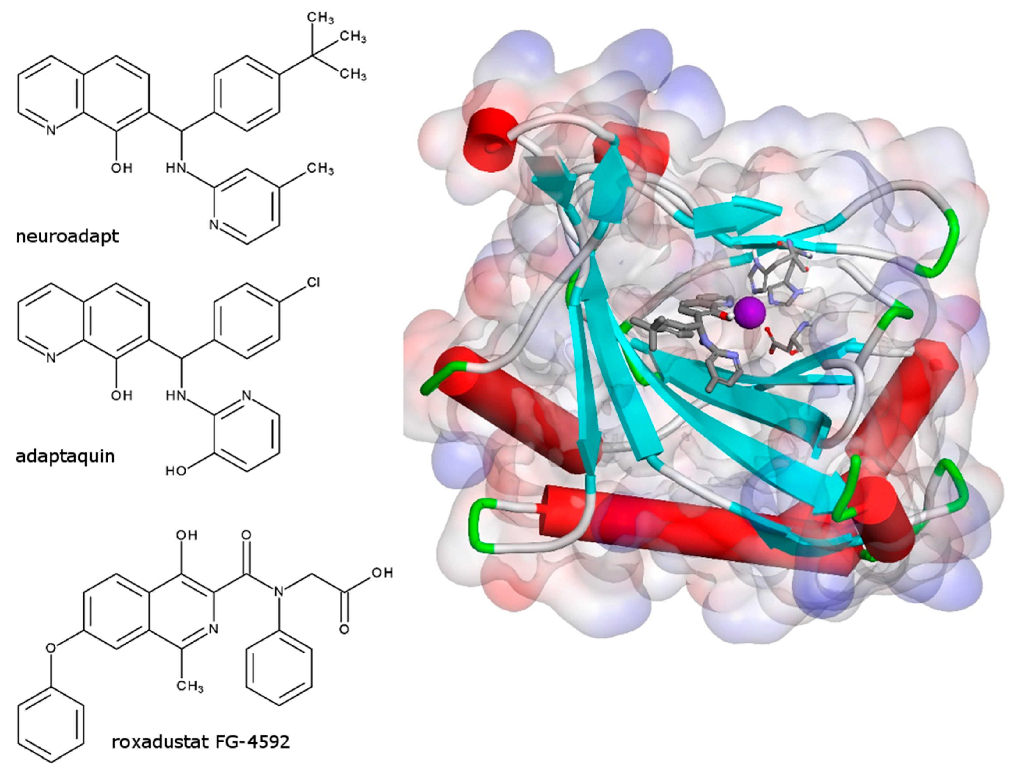 Antioxidants 09 00662 g001 Antioxidants 09 00662 g001