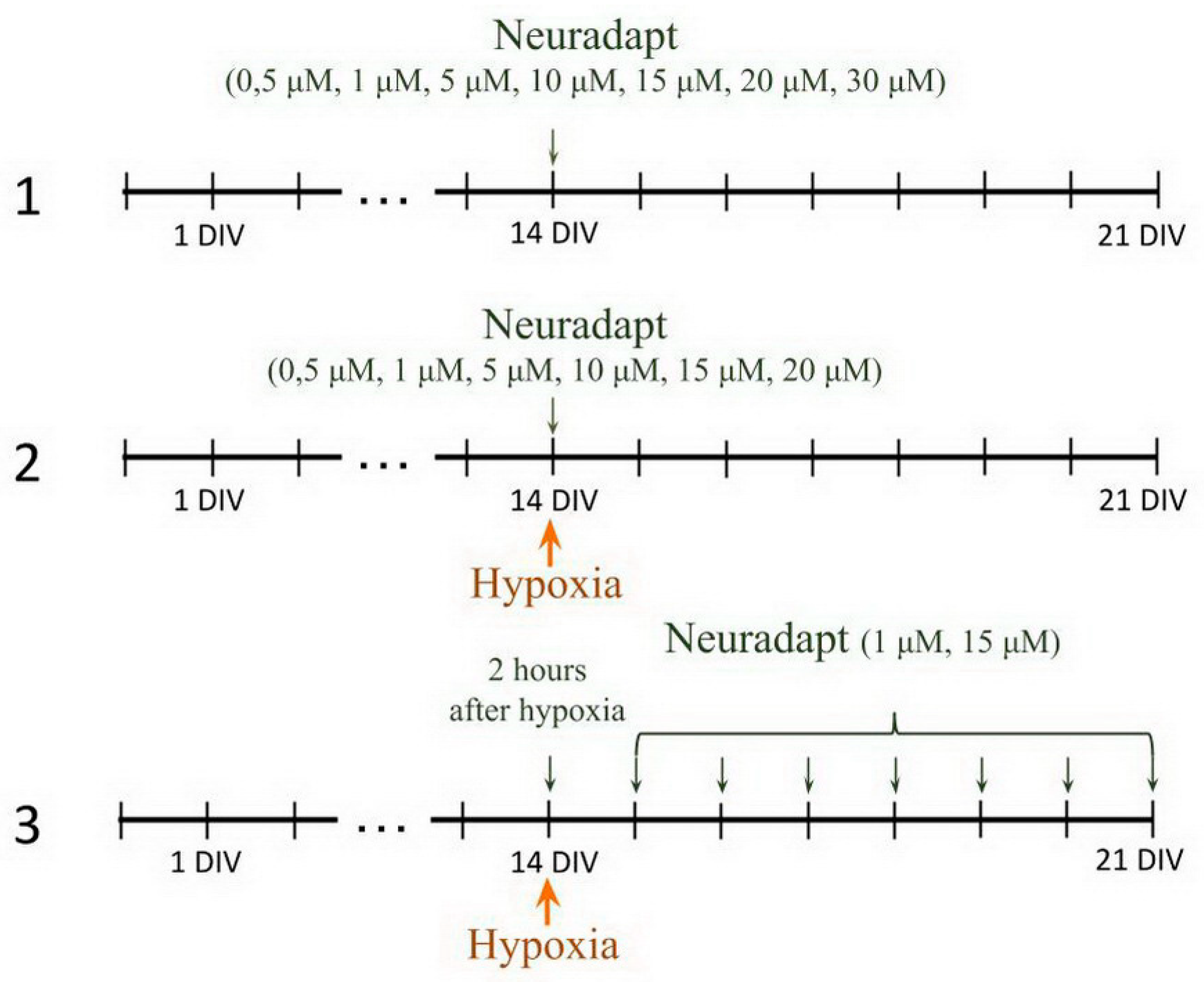 Antioxidants 09 00662 g002 Antioxidants 09 00662 g002