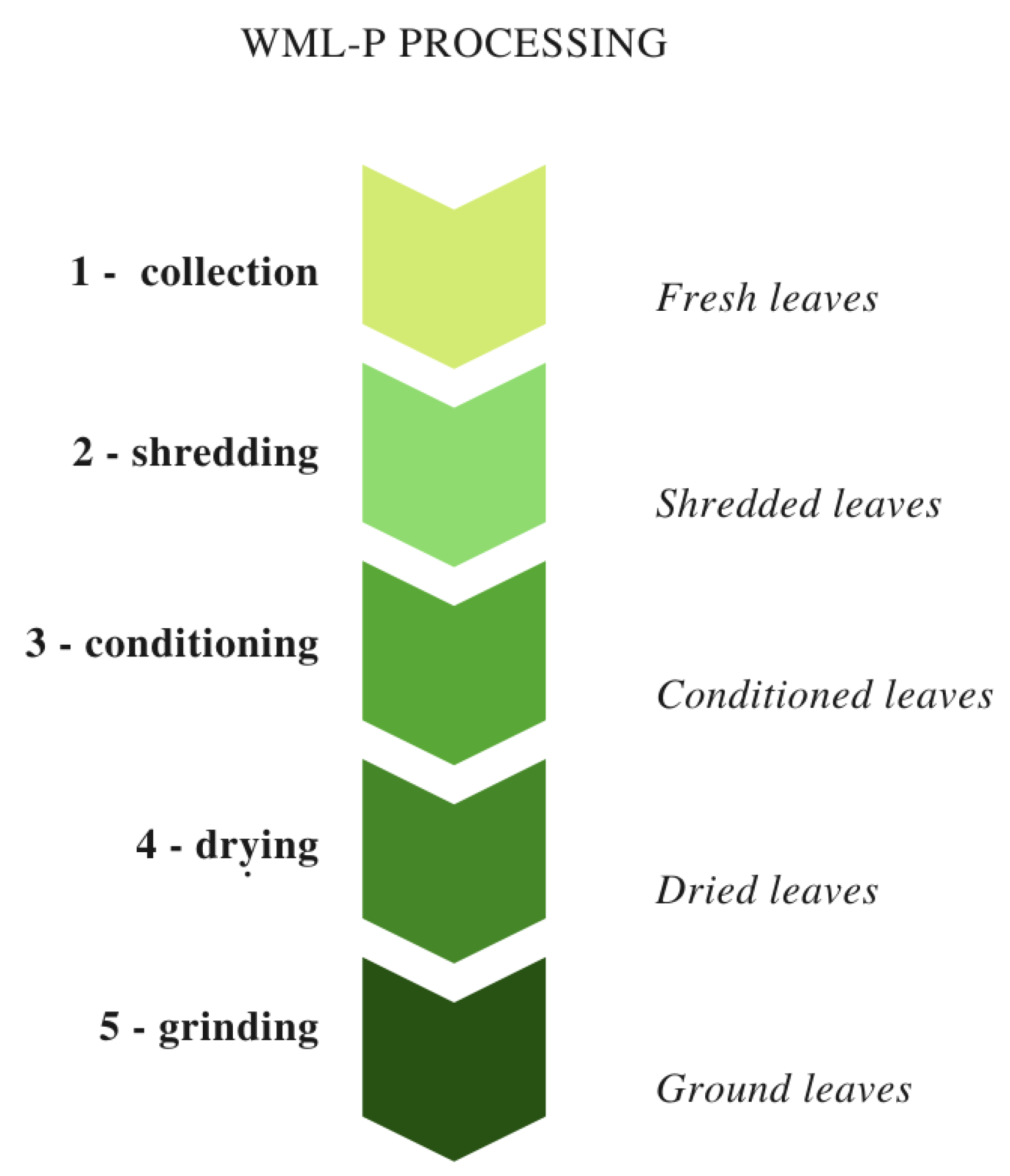 Antioxidants 09 00668 g001 Antioxidants 09 00668 g001