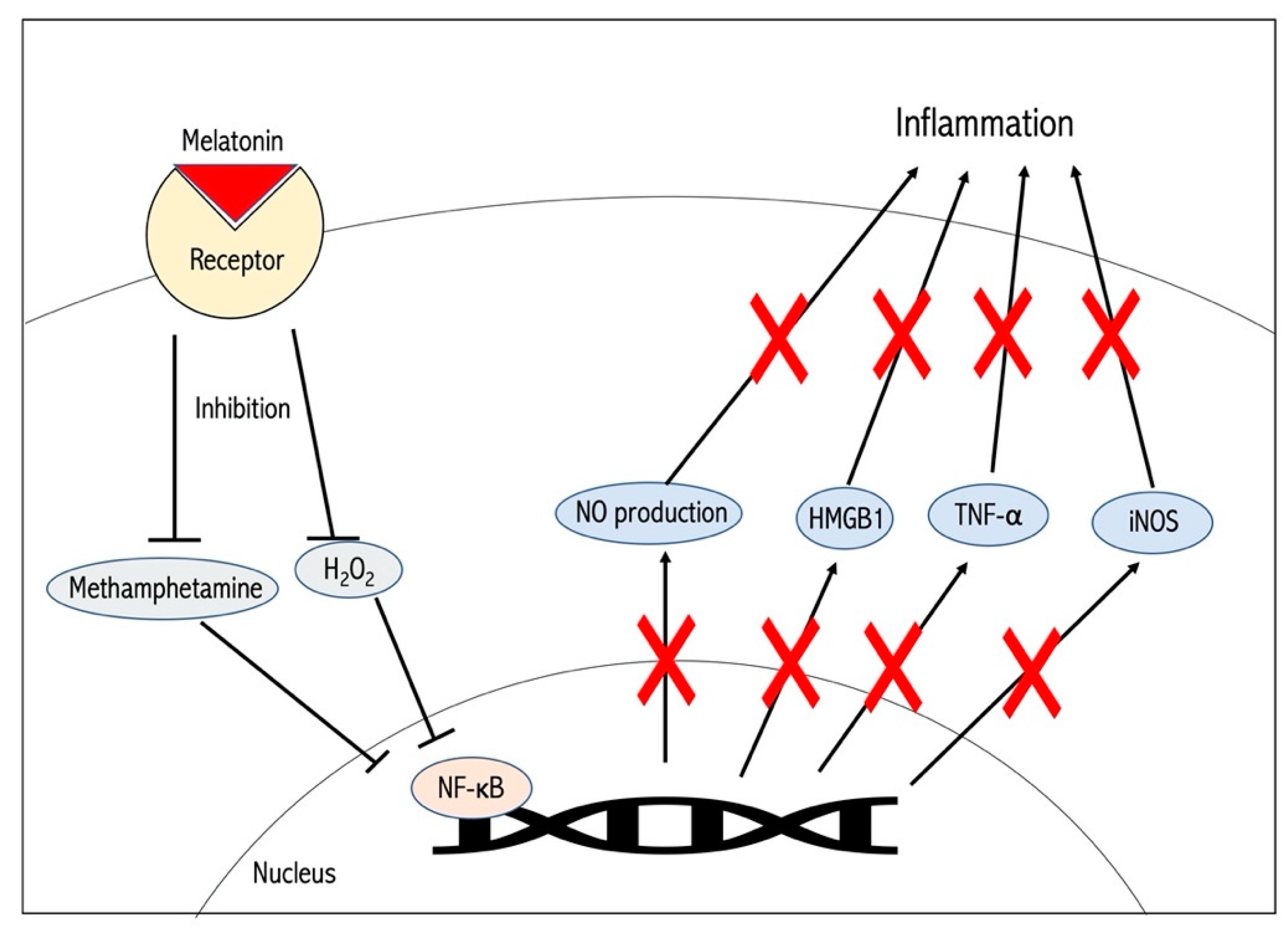 Antioxidants 09 00672 g002 Antioxidants 09 00672 g002