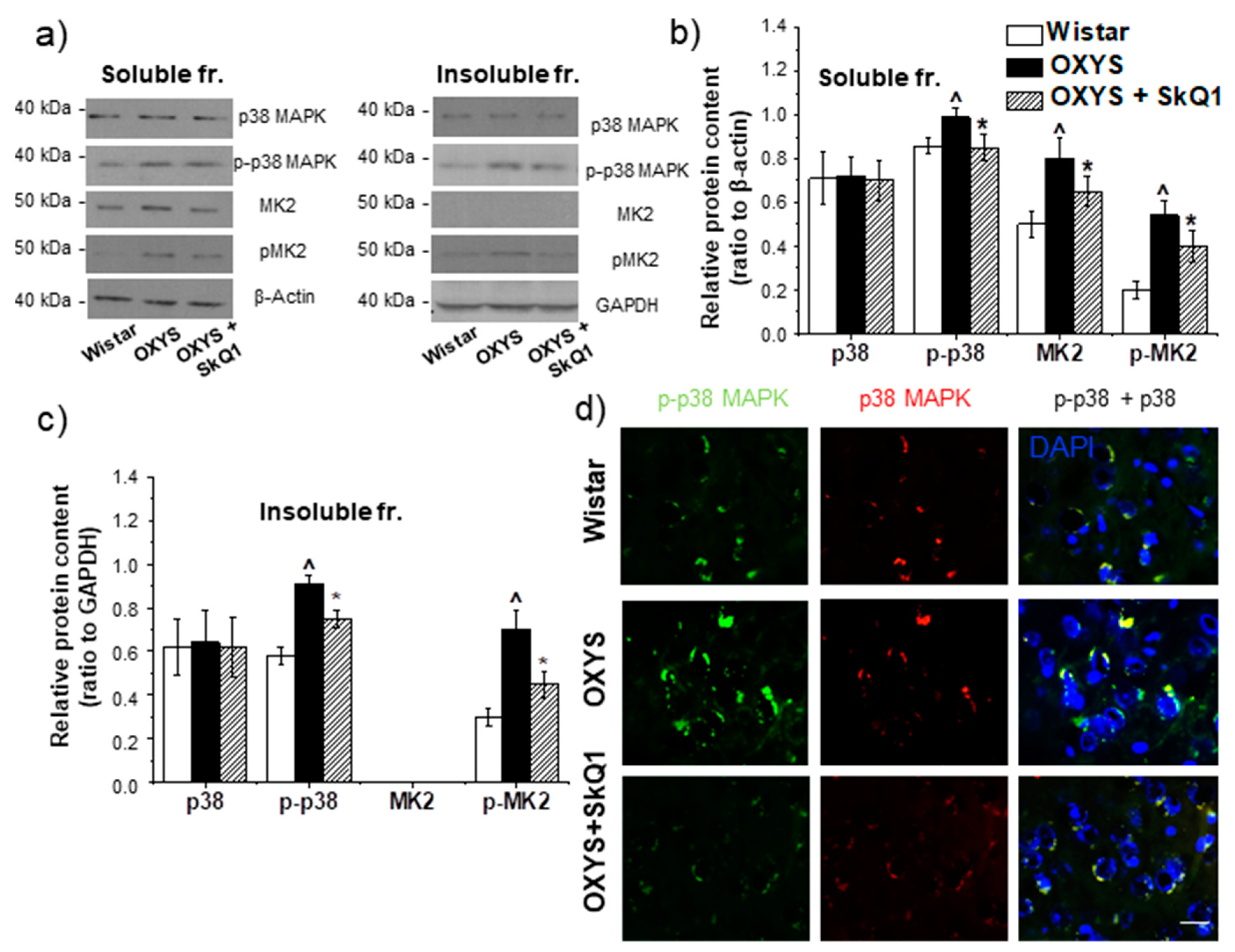 Antioxidants 09 00676 g005