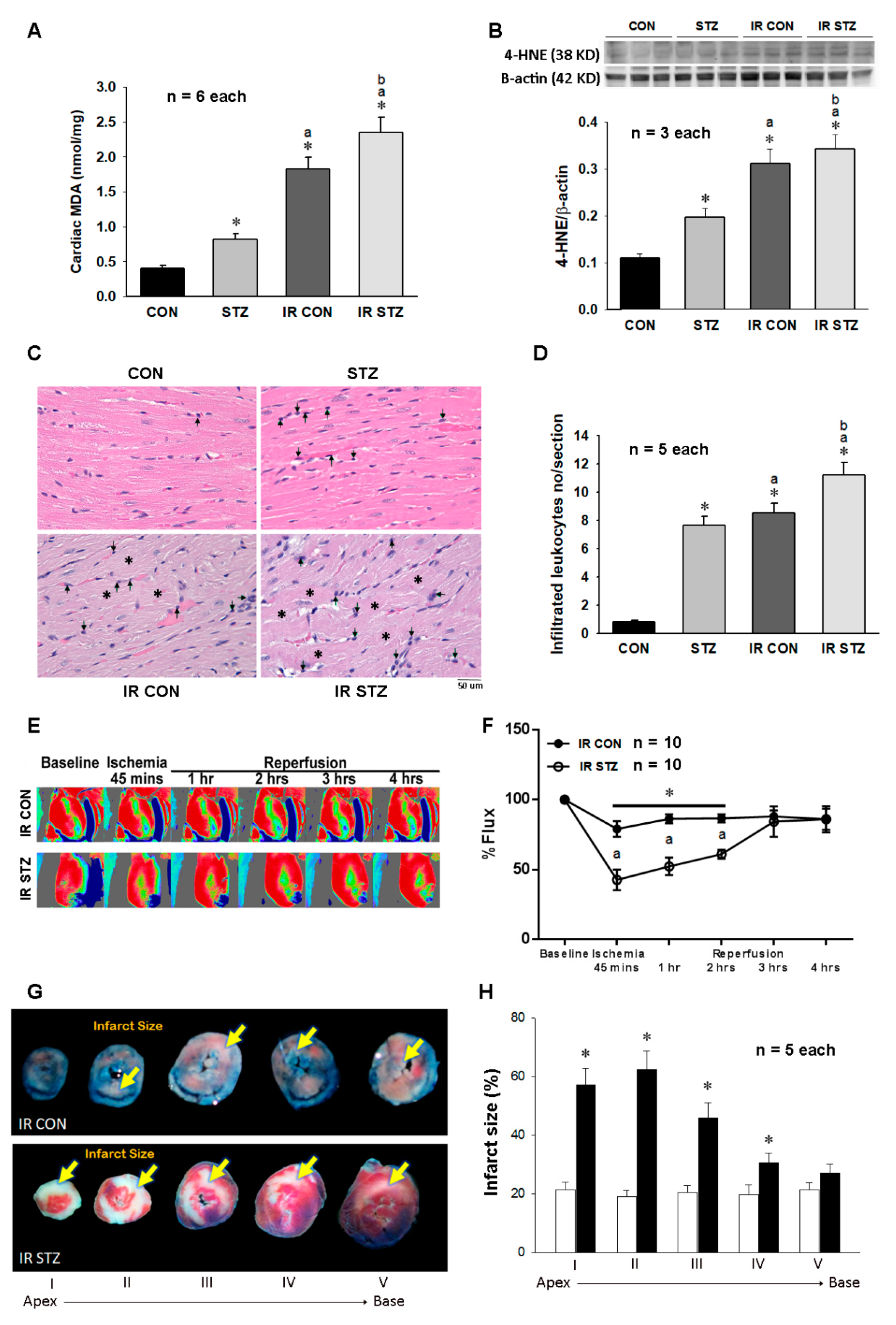 Antioxidants 09 00679 g005