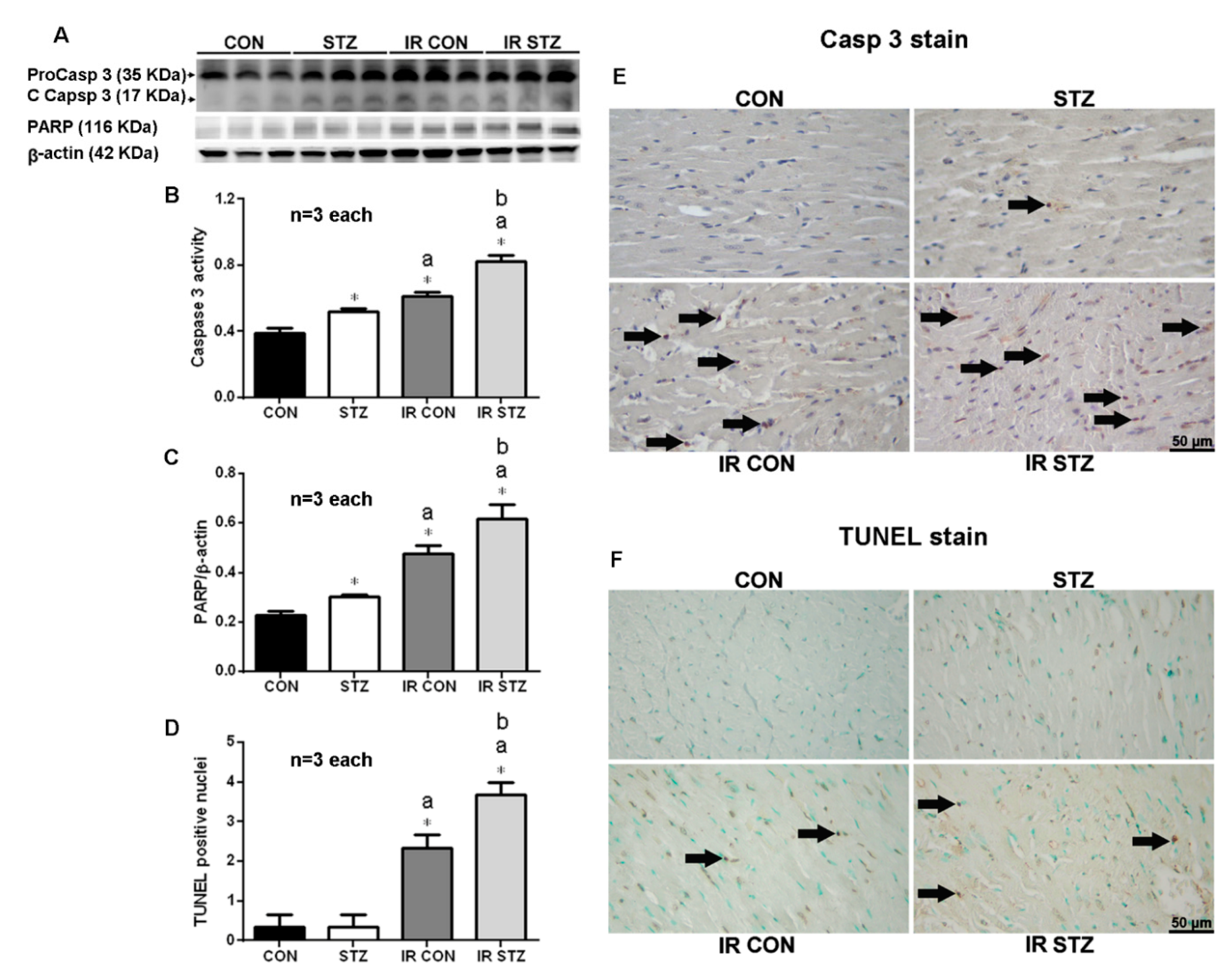 Antioxidants 09 00679 g007