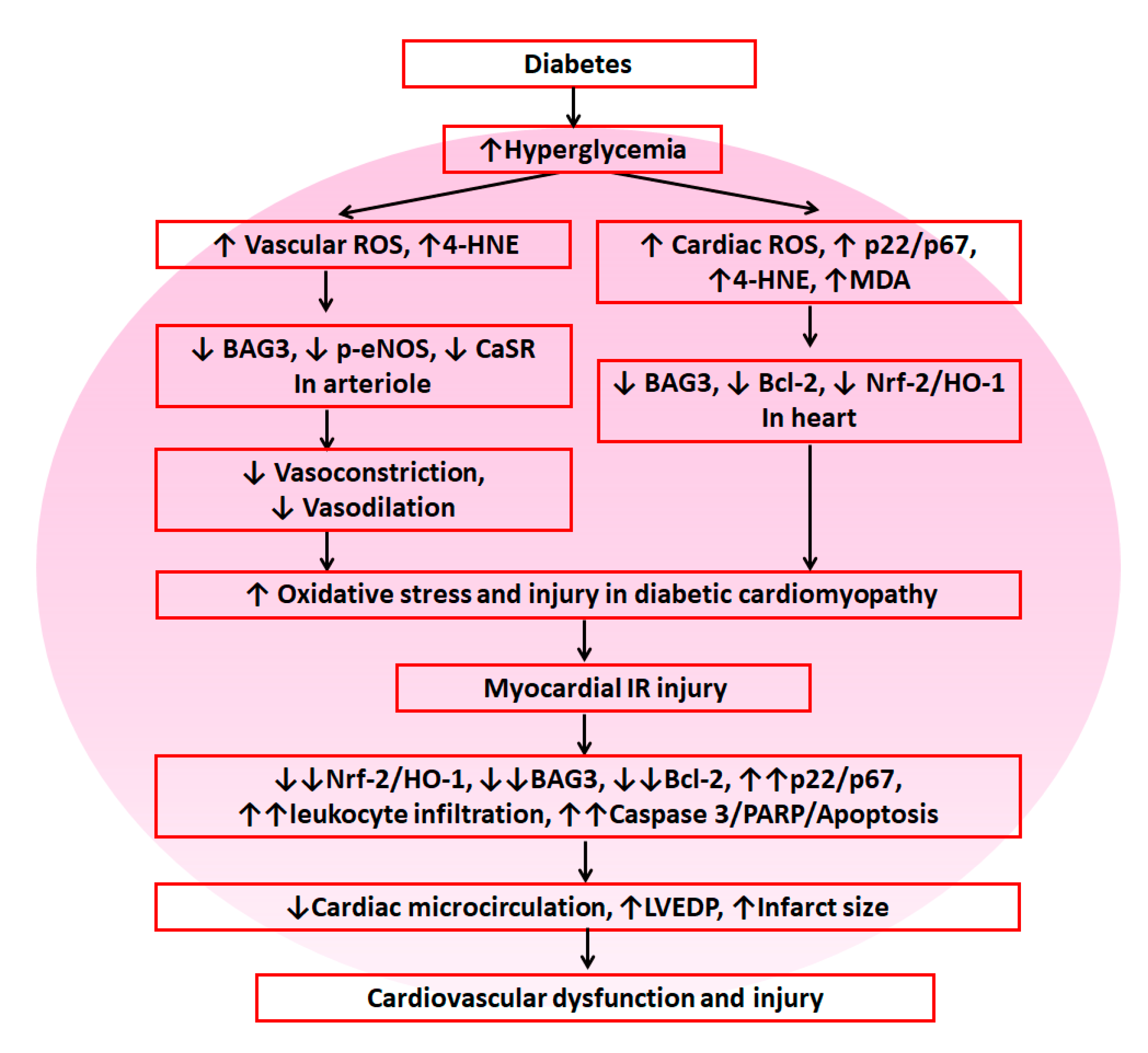 Antioxidants 09 00679 g008
