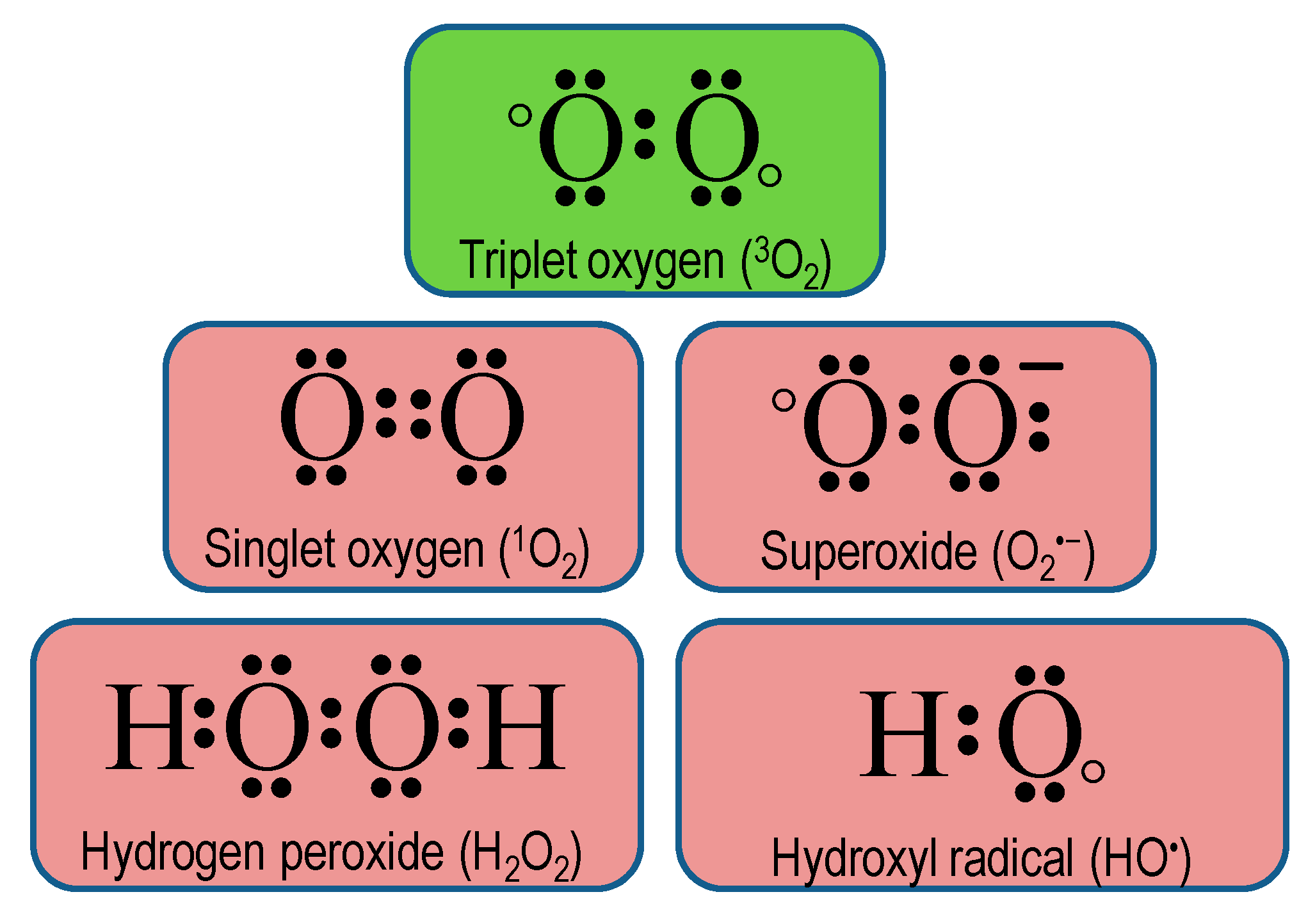 Reactive Oxygen Species