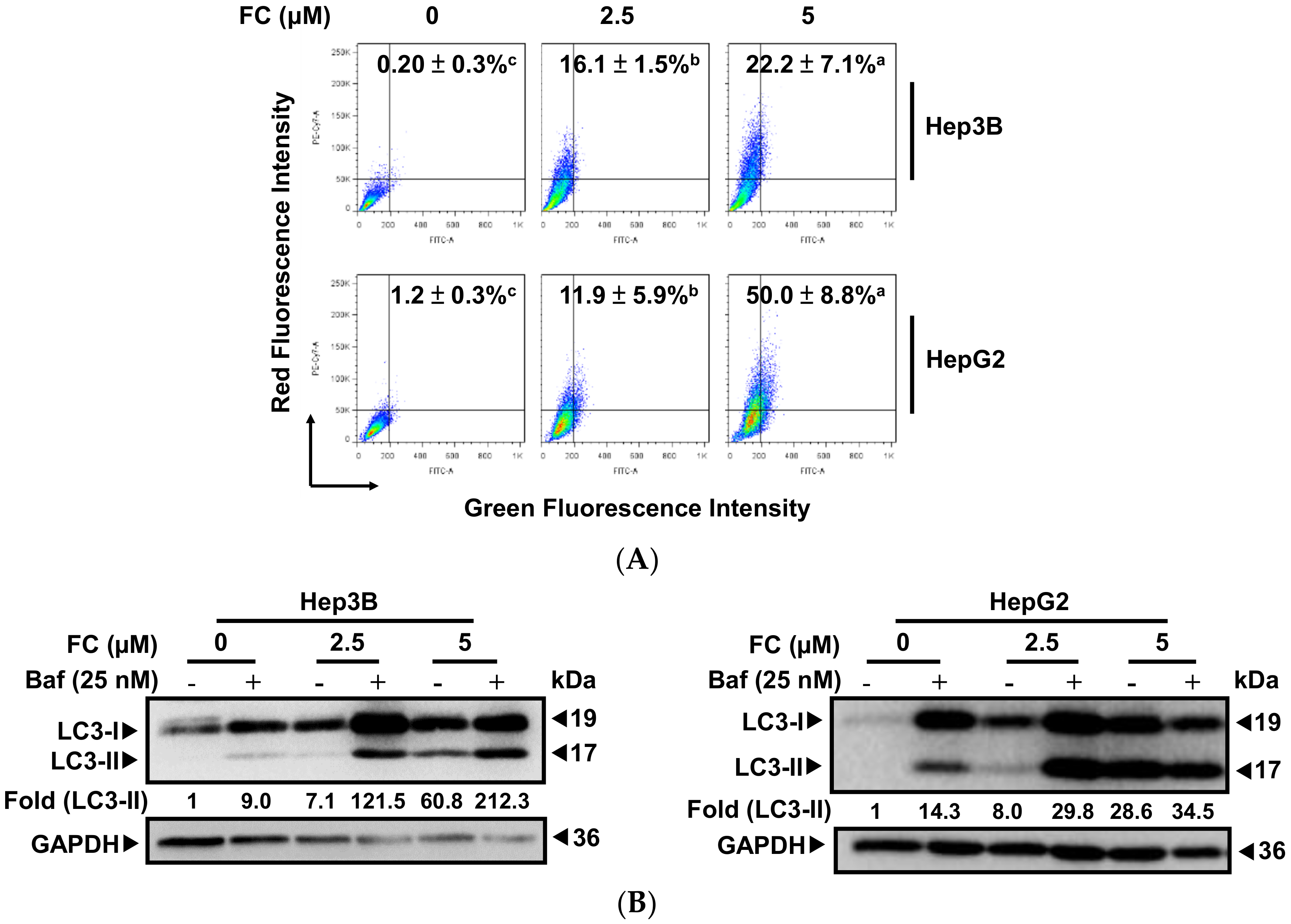 Antioxidants 09 00682 g002a