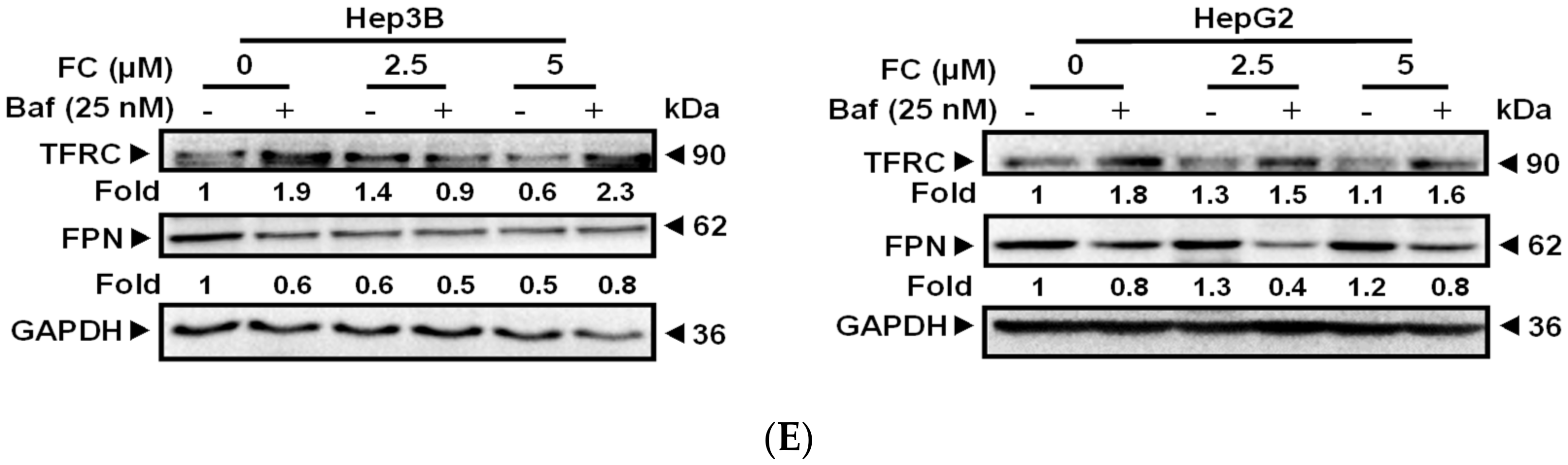 Antioxidants 09 00682 g003b