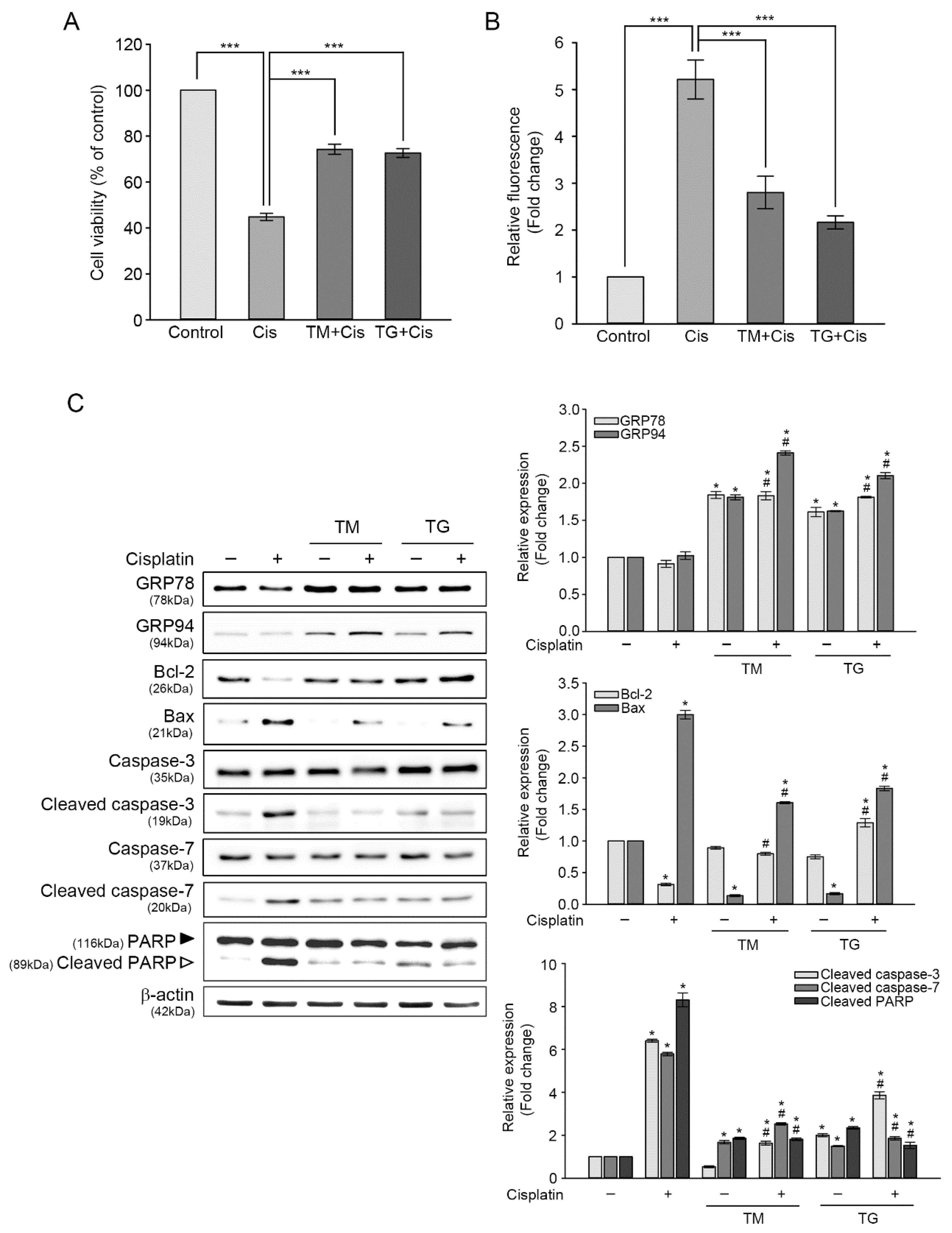 Antioxidants 09 00686 g003