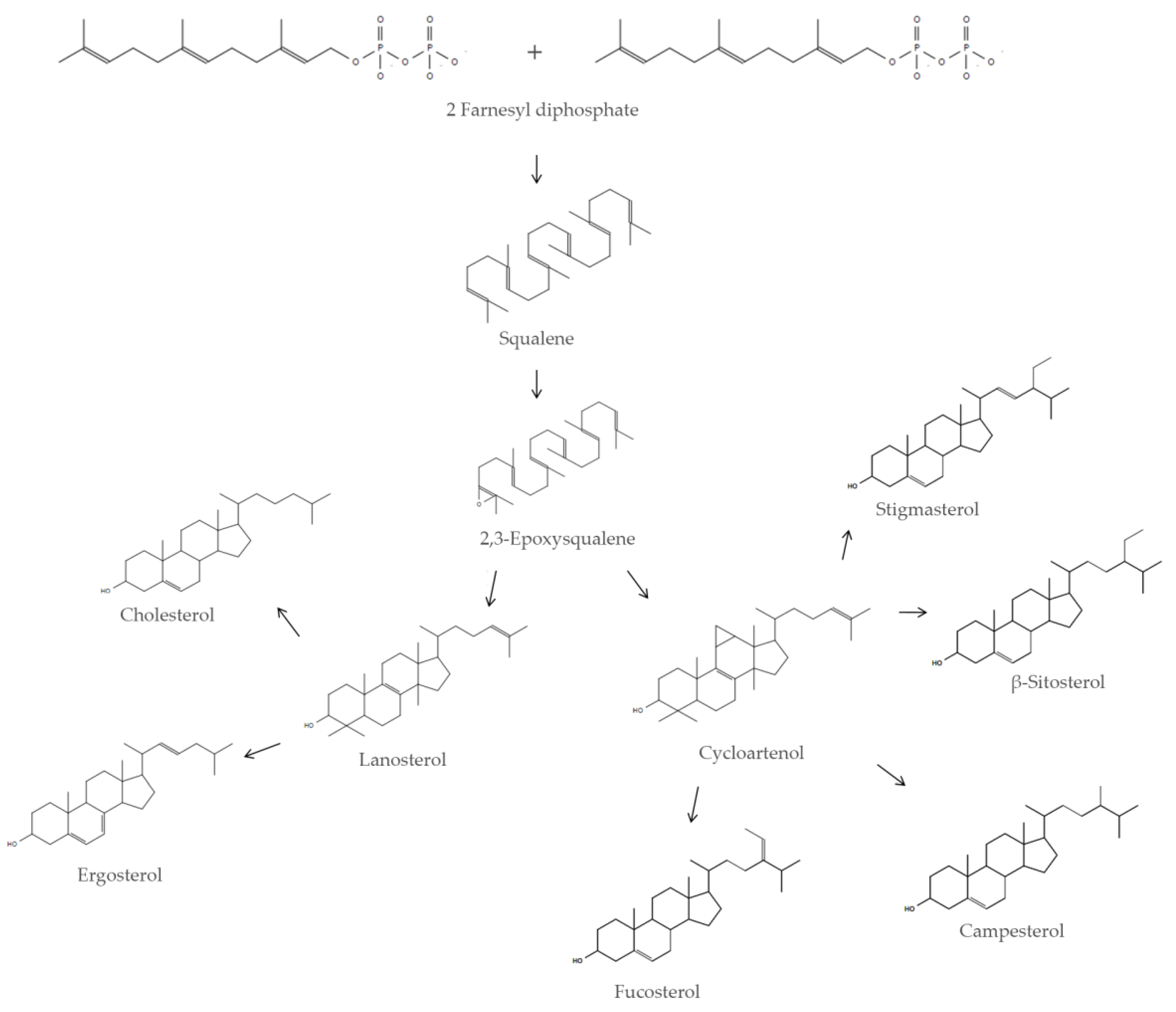 Antioxidants 09 00688 g001 Antioxidants 09 00688 g001