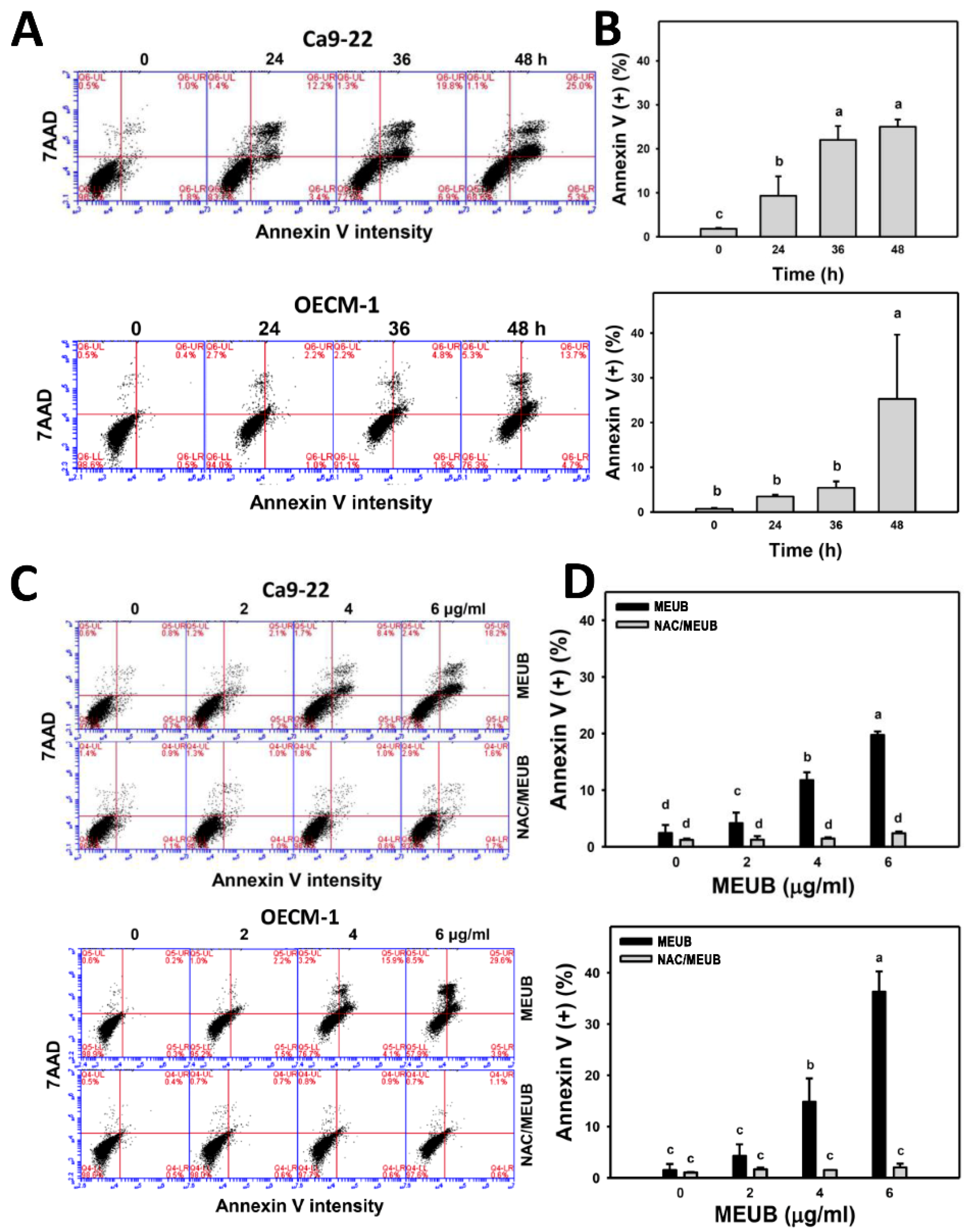 Antioxidants 09 00694 g004