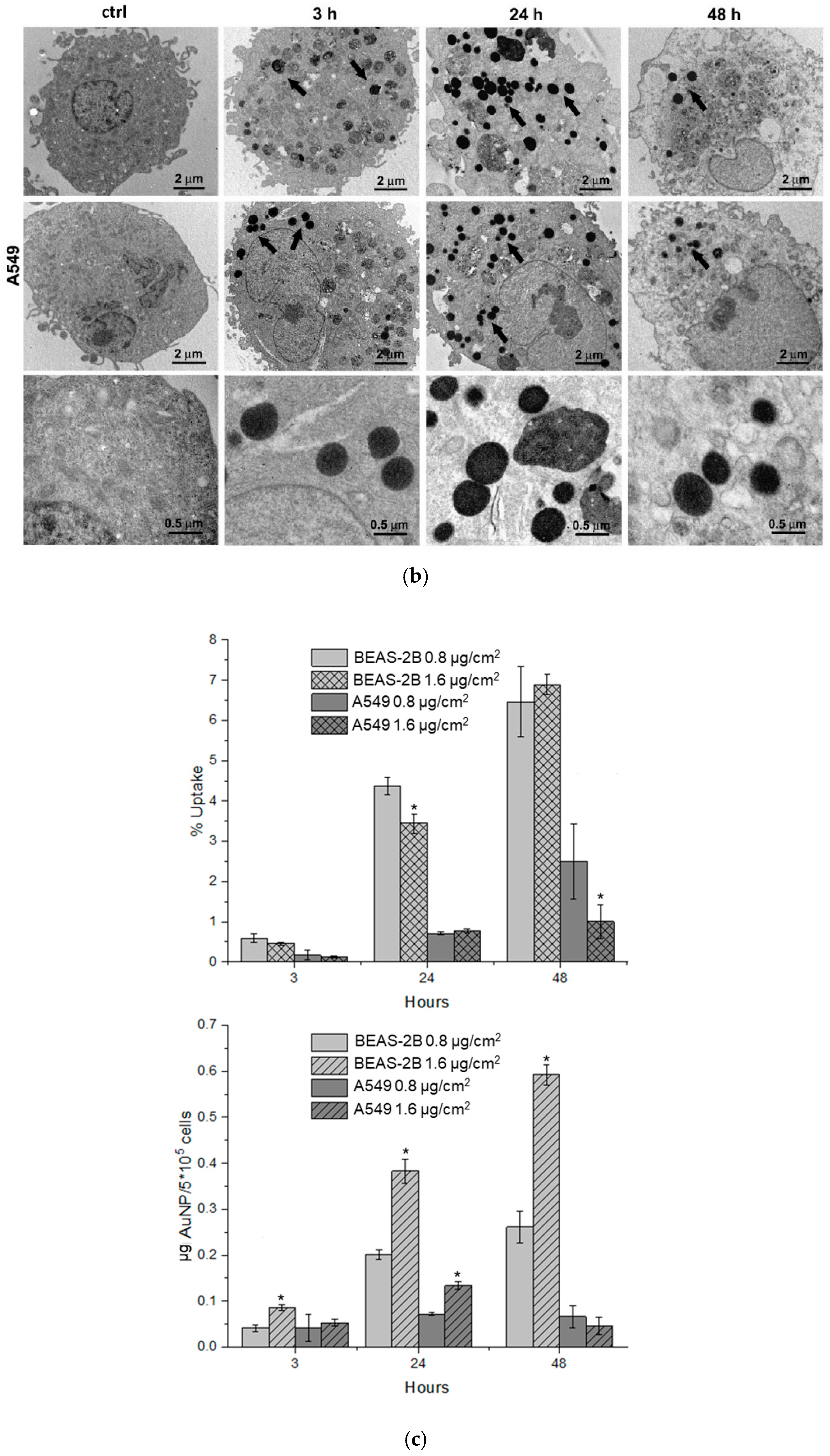 Antioxidants 09 00697 g001b