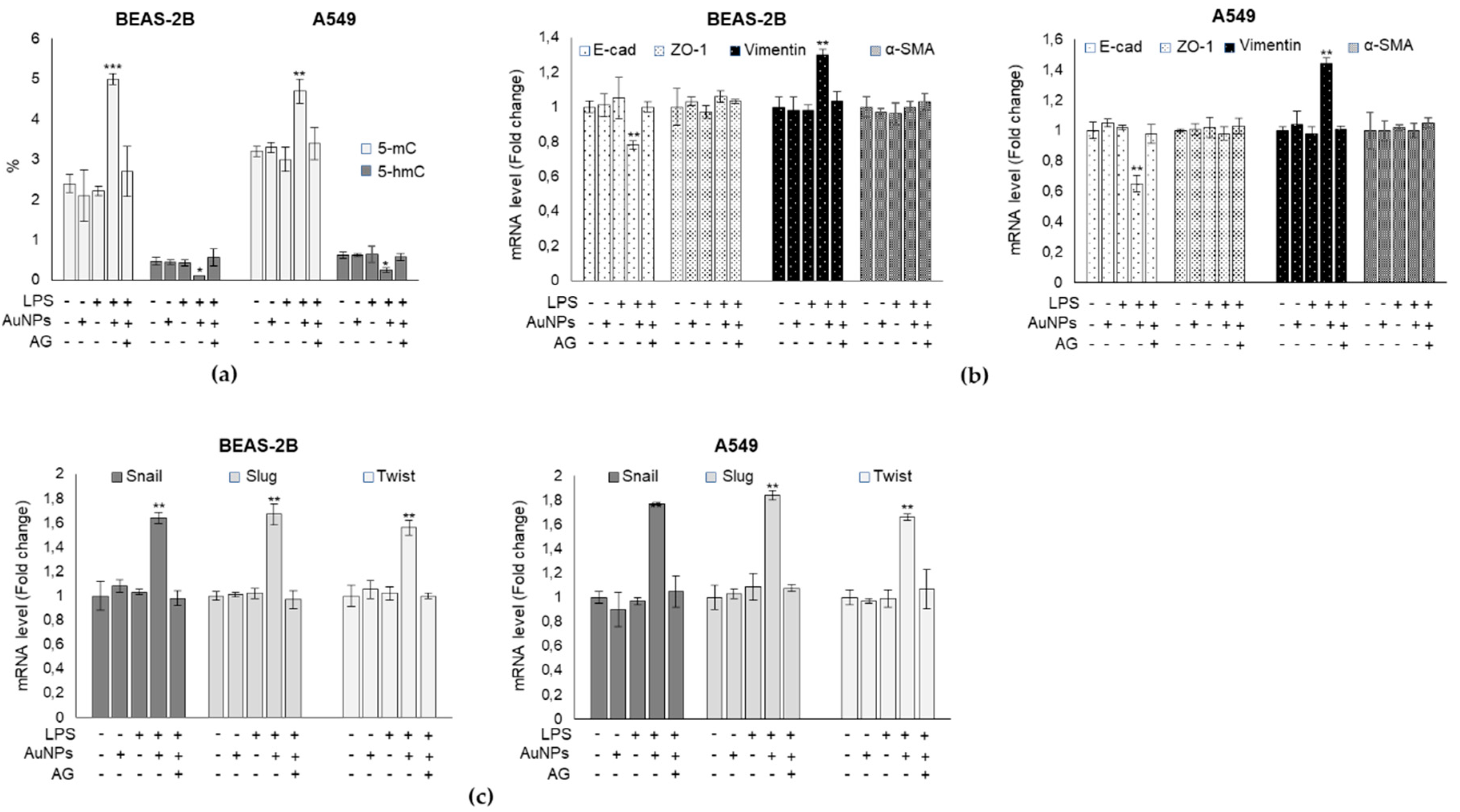 Antioxidants 09 00697 g007