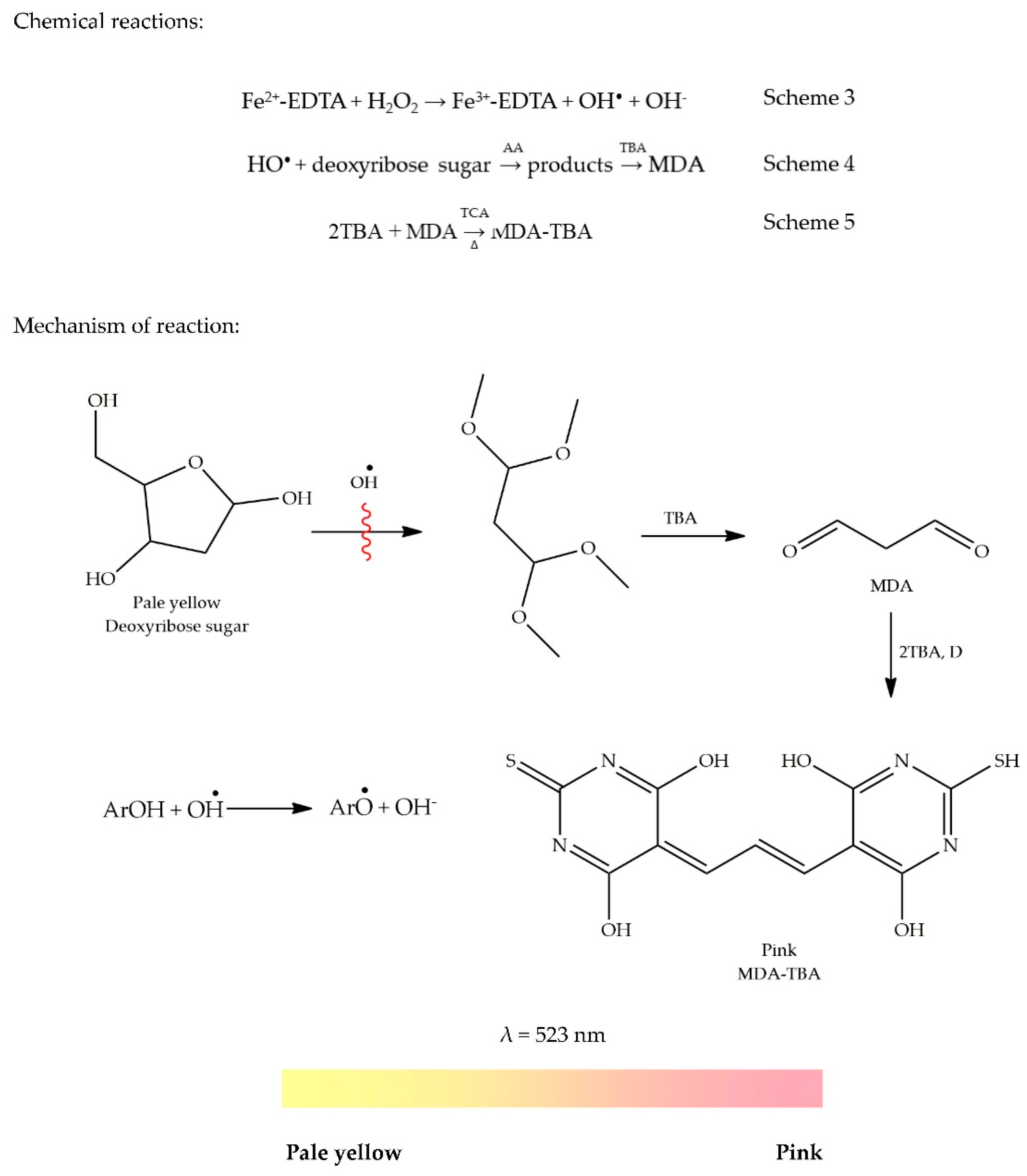Antioxidants 09 00709 g005