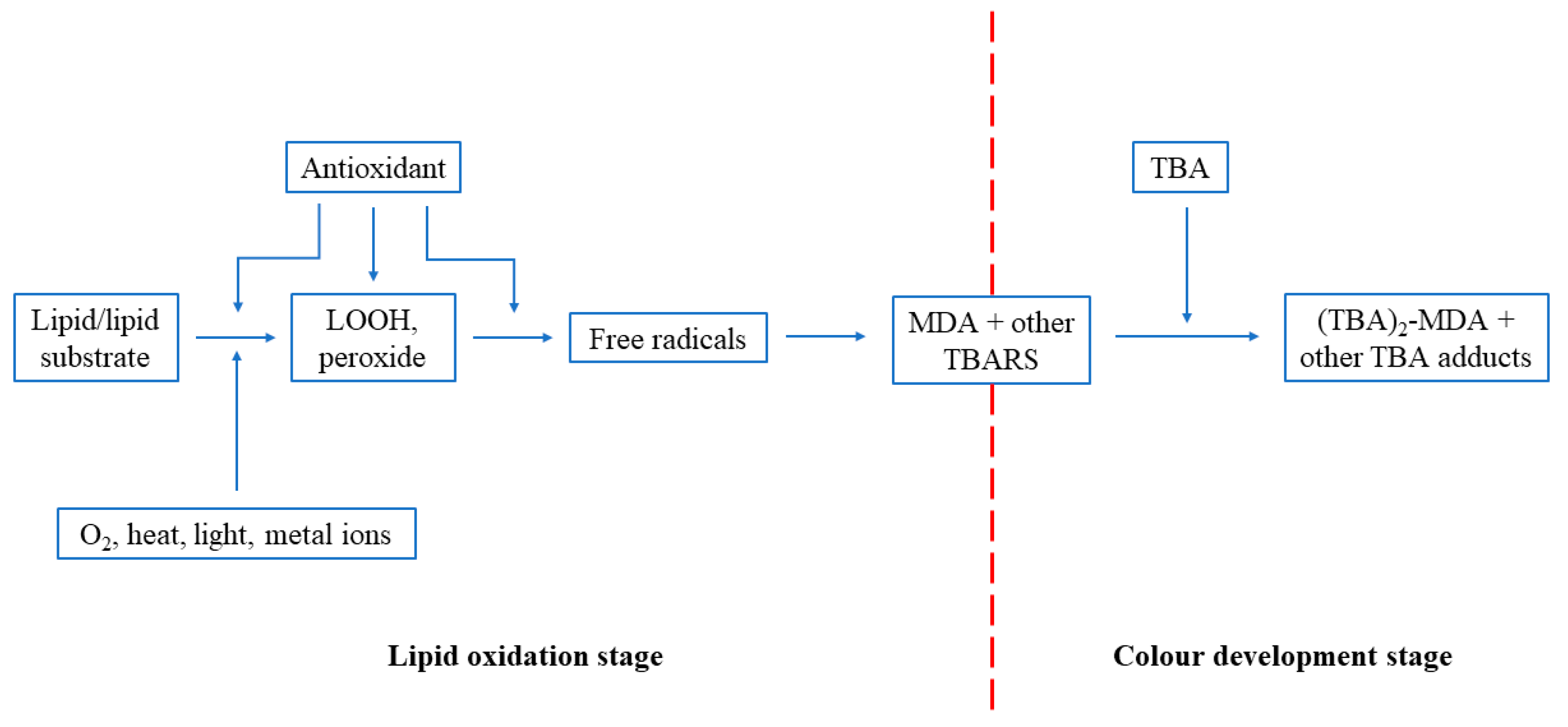 Antioxidants 09 00709 g006